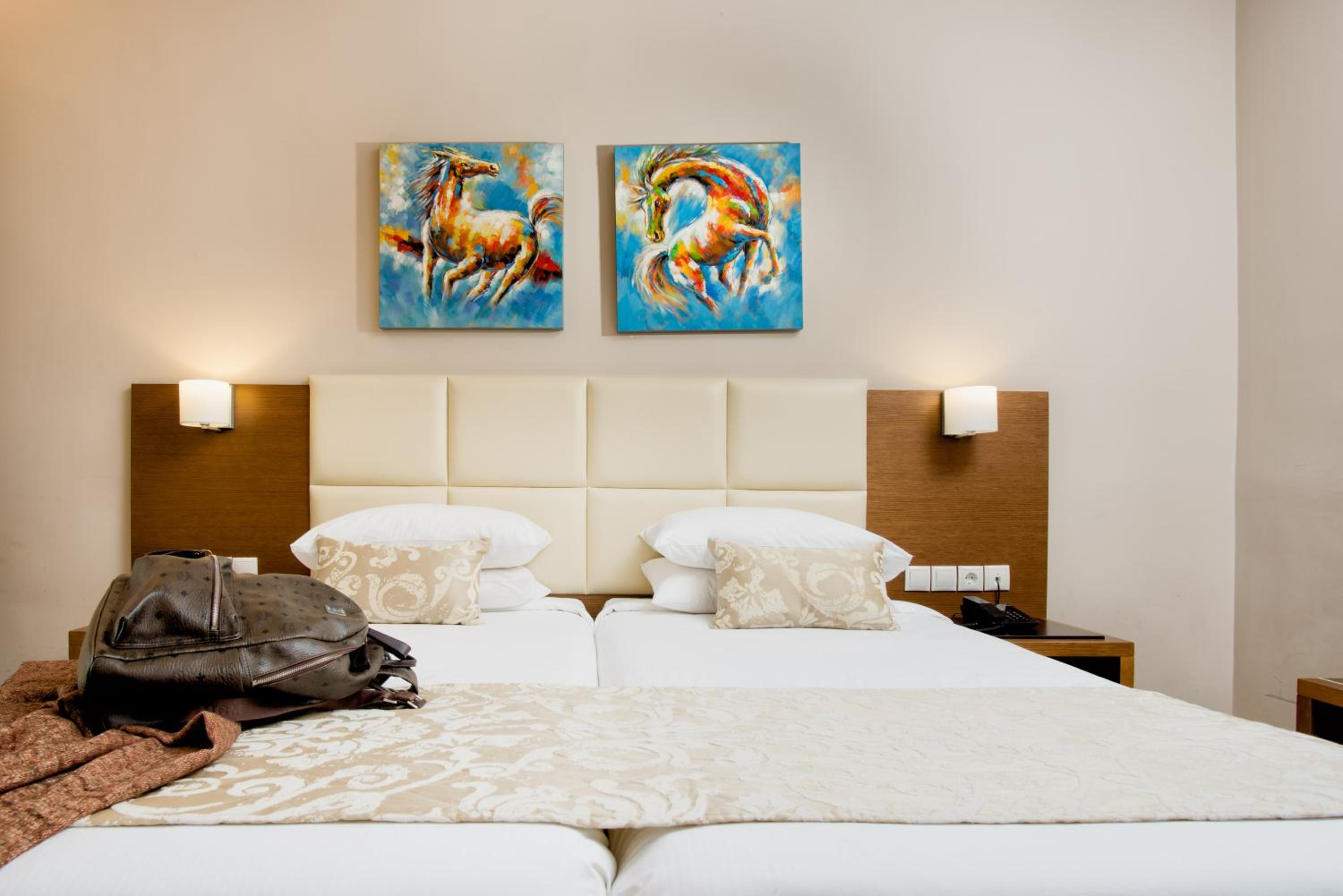 Superior Twin Room - Disability Access - Photo 4