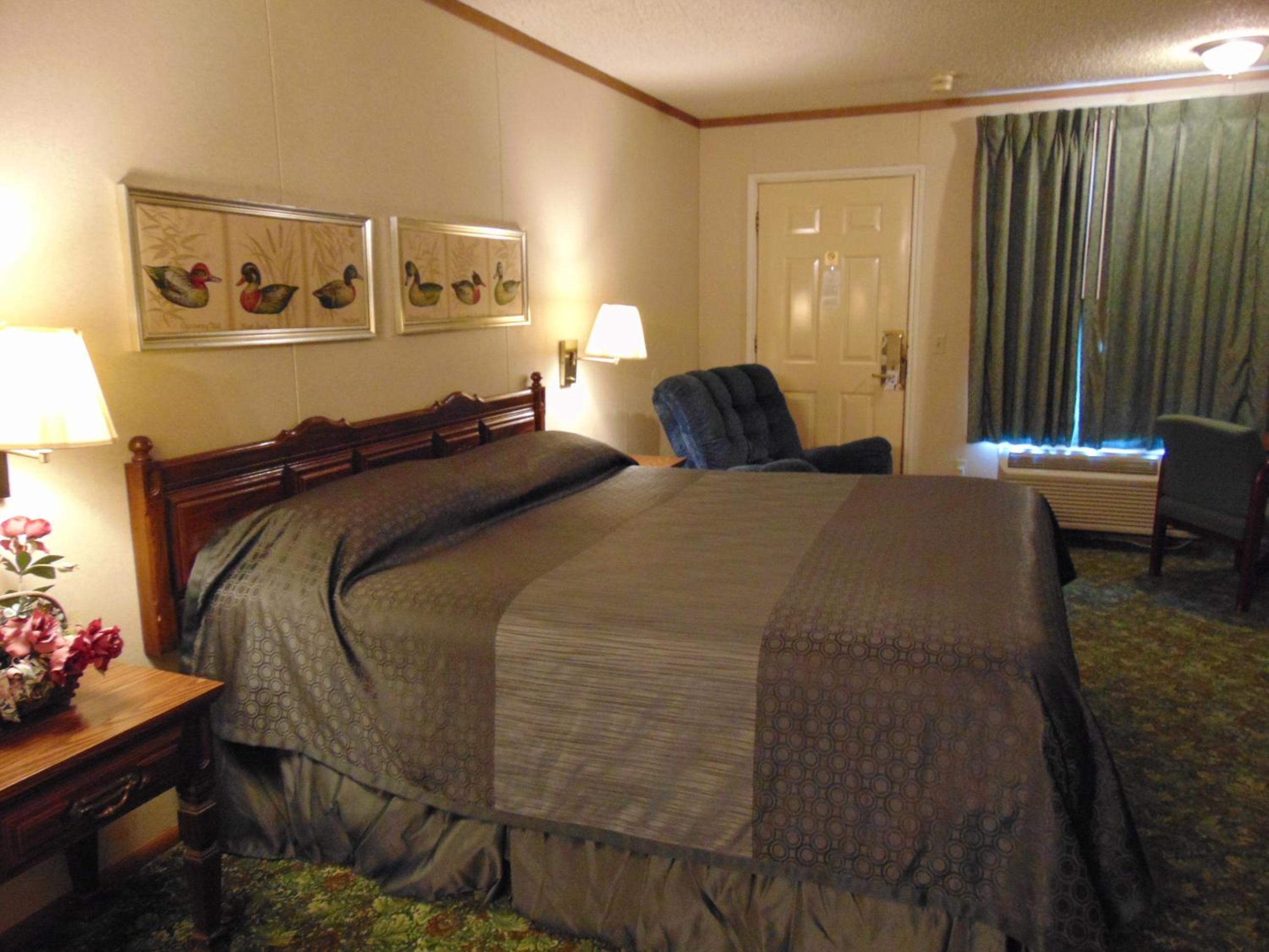 Large Single Room photo 1