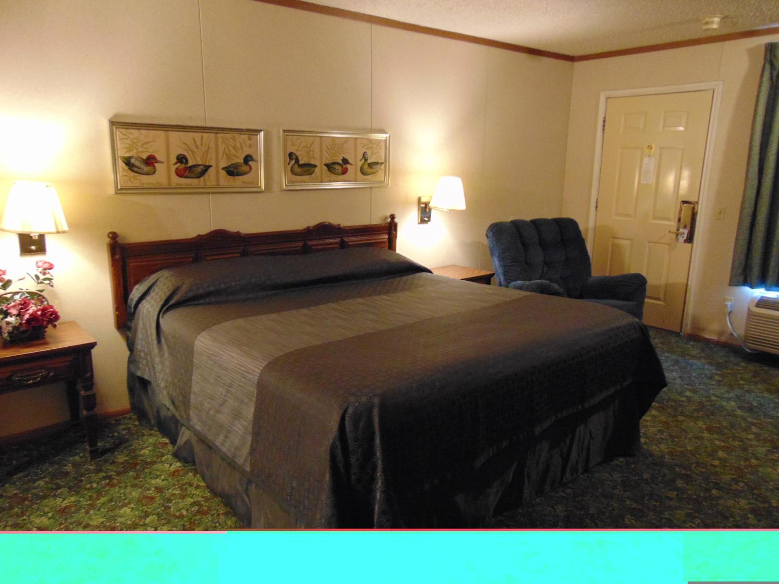 Large Single Room photo 2