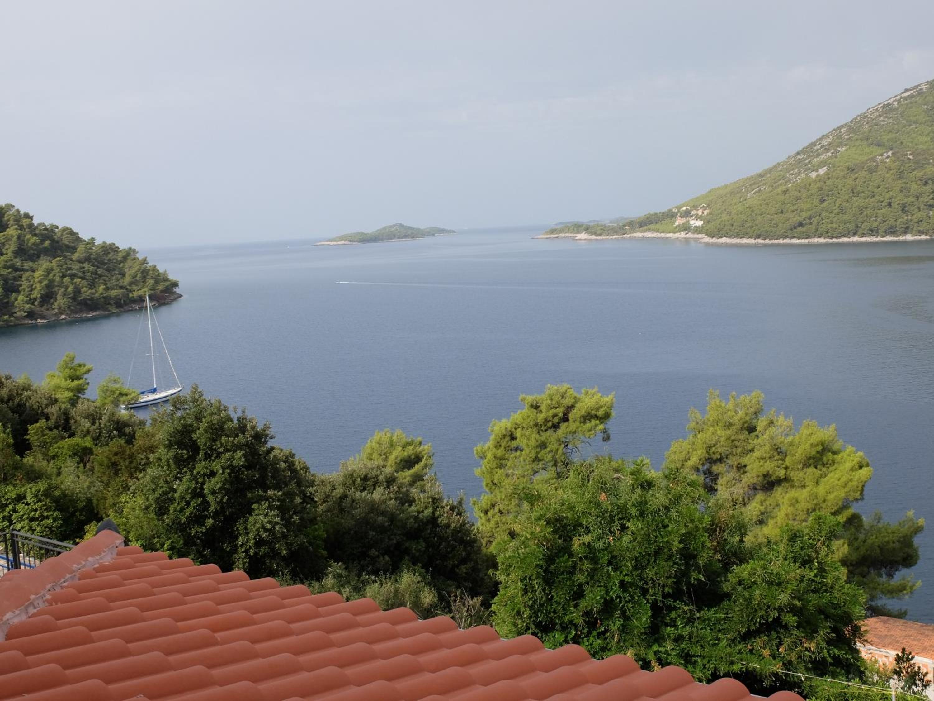 Studio with Sea View photo 3