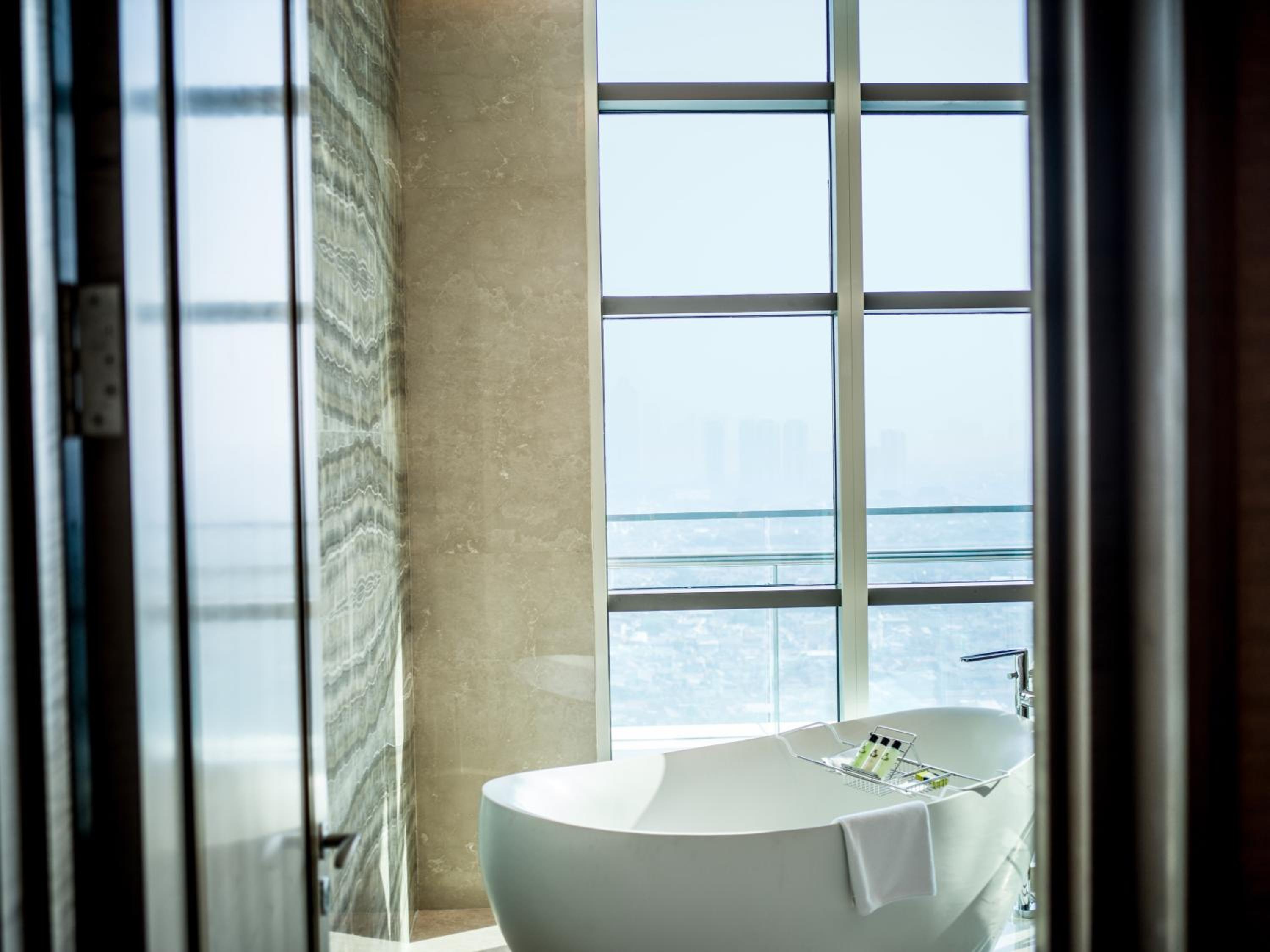Ambassador King Suite with City View
