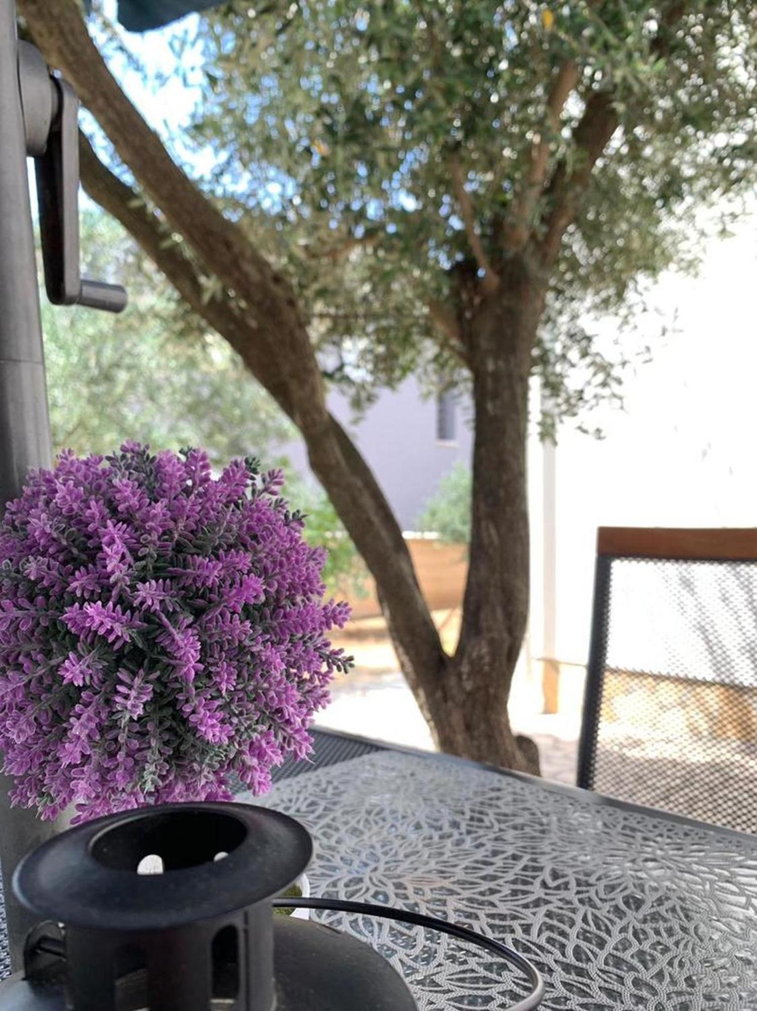 Apartment with Terrace photo 3