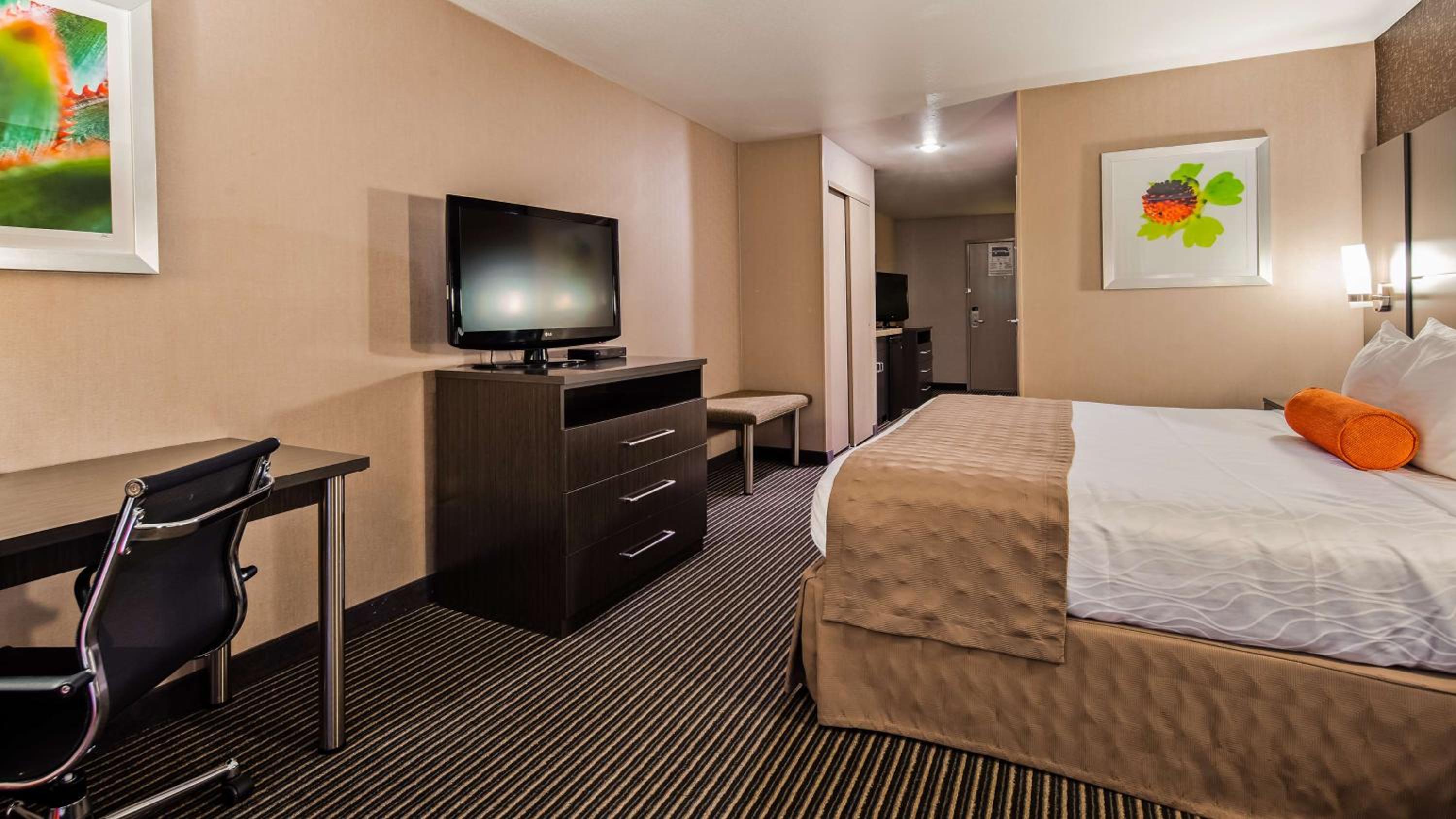 King Suite with Sofa Bed - Non-Smoking - Photo 2