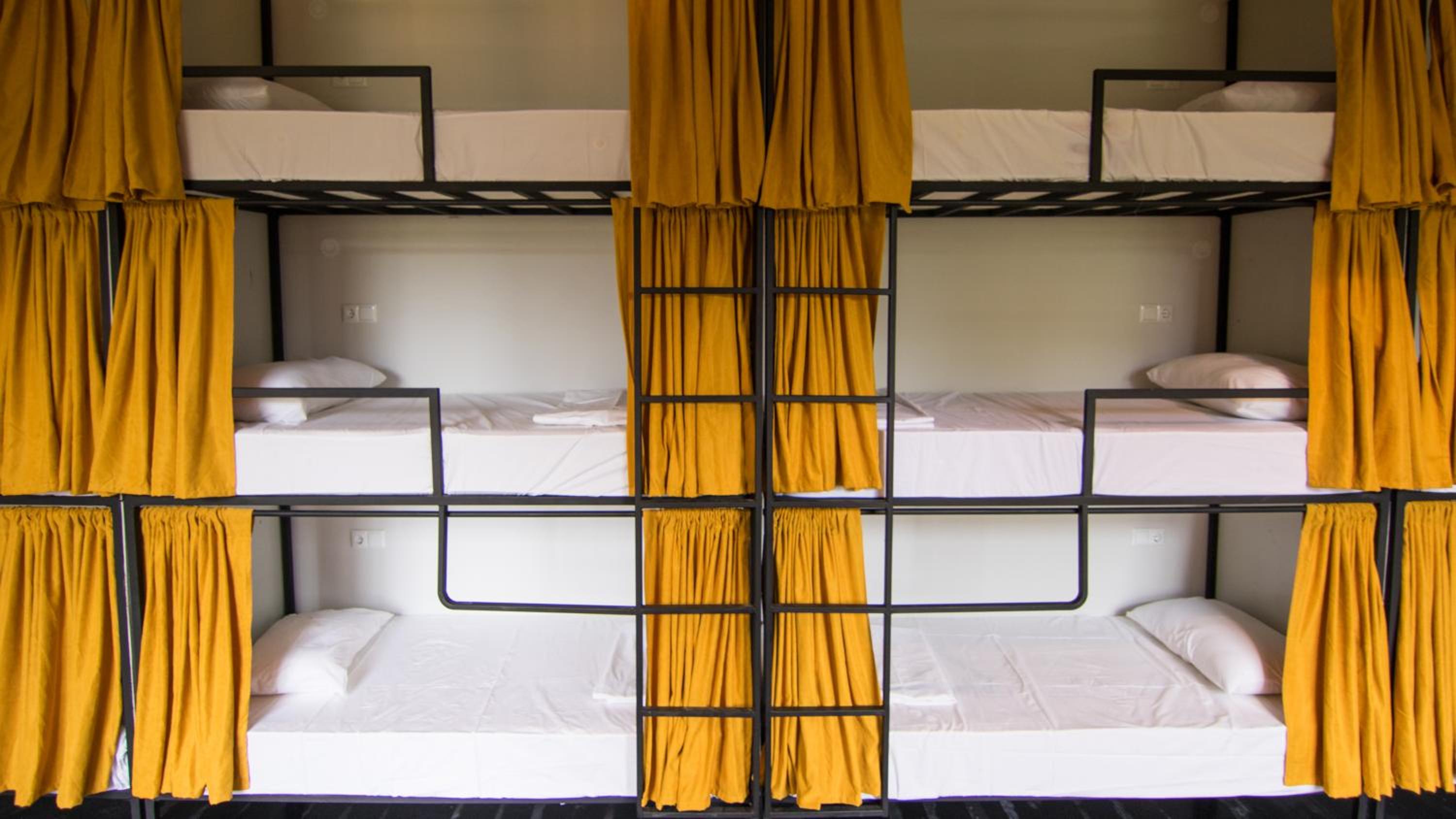 Bunk Bed in Mixed Dormitory Room photo 2