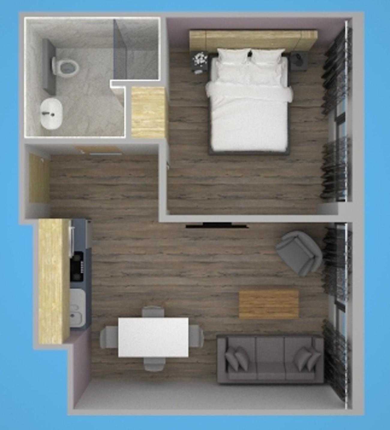 One-Bedroom Apartment photo 3