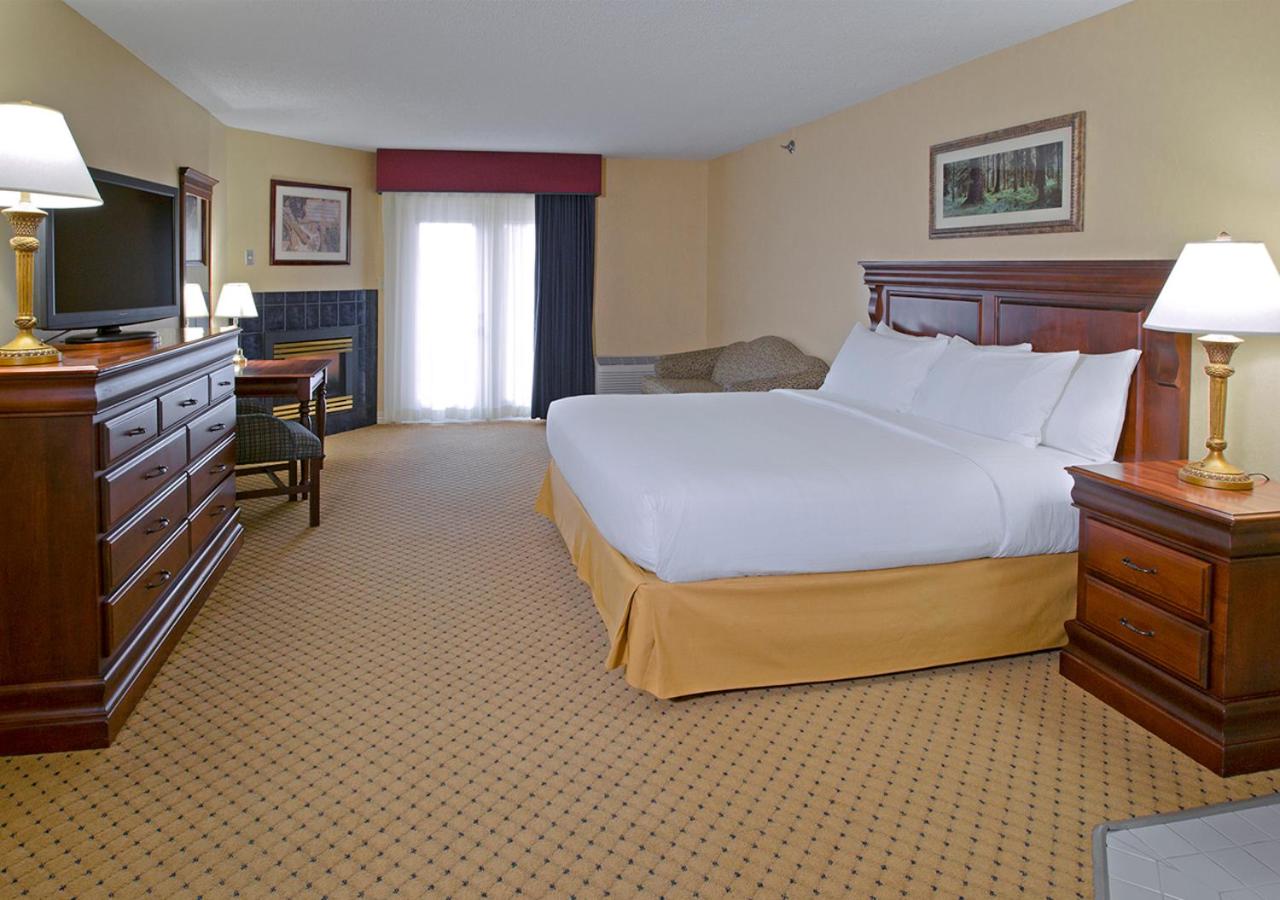 Premier King with Fireplace, Jacuzzi, Sleeper Sofa - Hotel - Photo 1