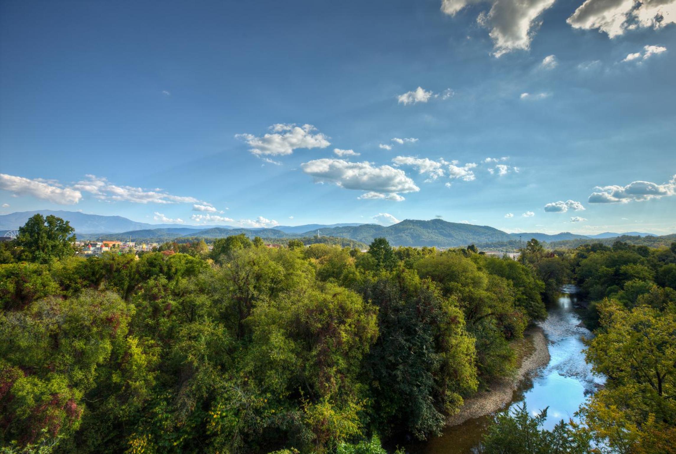 Deluxe Queen with River View - Hotel - Photo 3