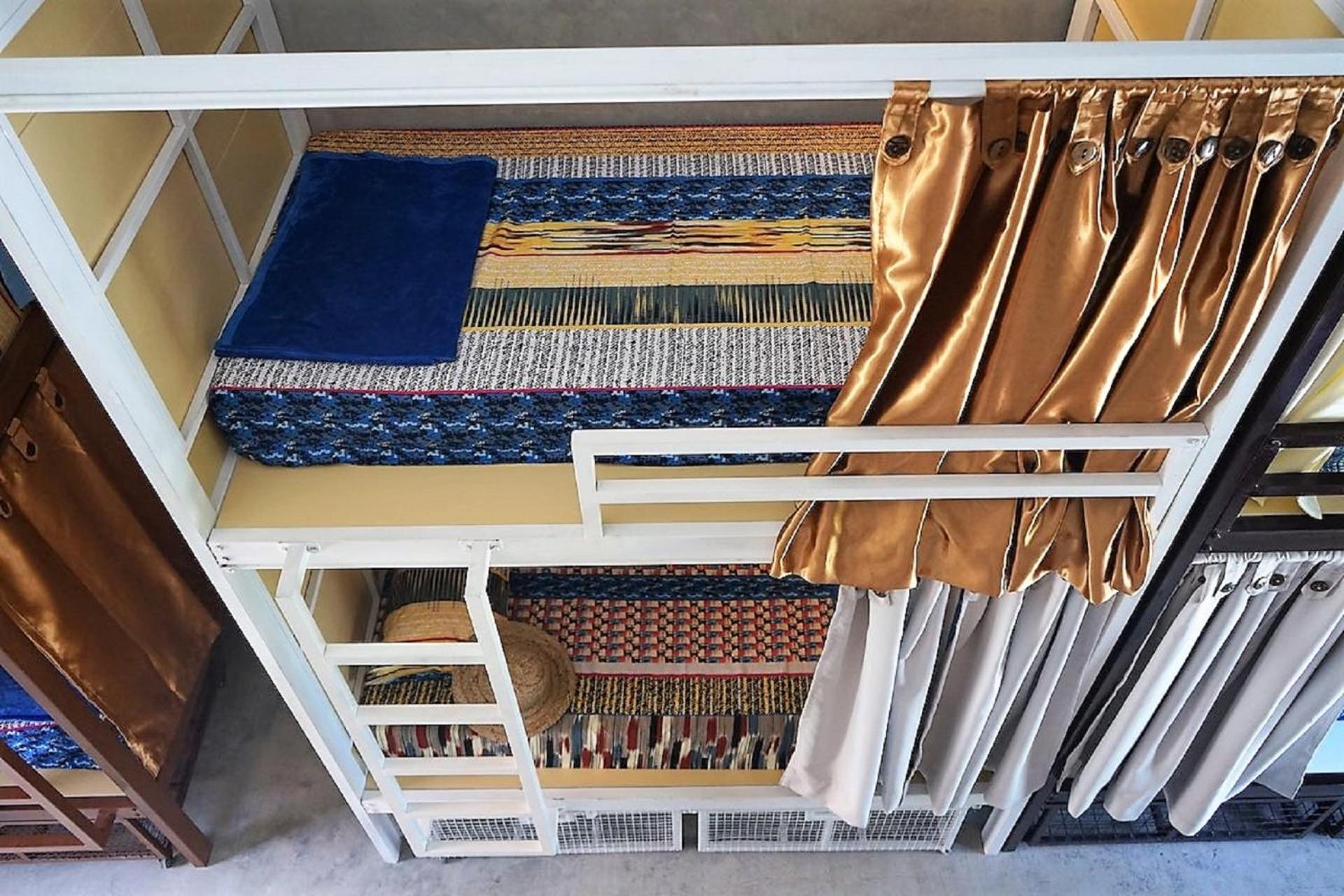 Bunk Bed in Female Dormitory Room with Shared Bathroom photo 3