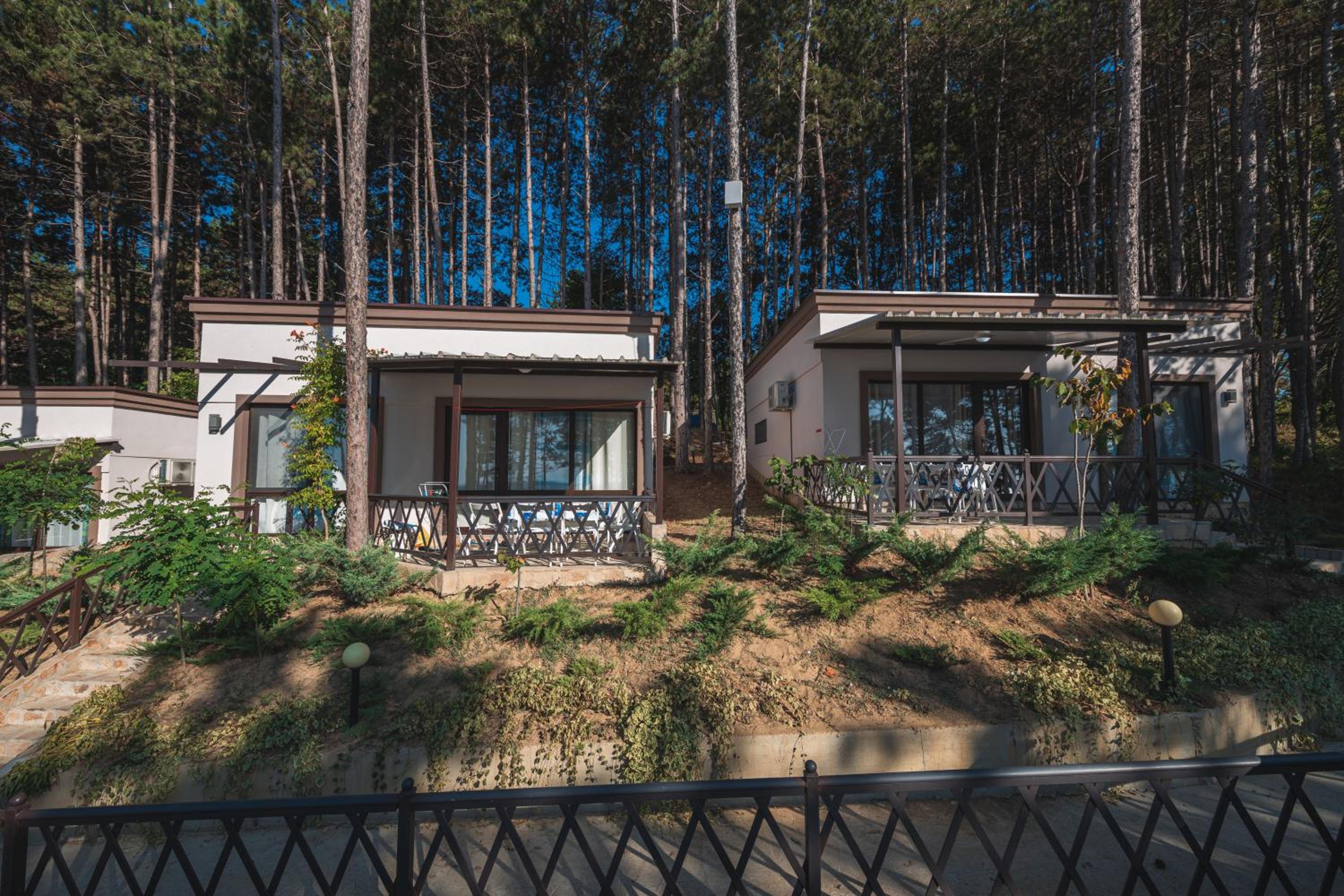 Deluxe Bungalow with Sea View photo 3