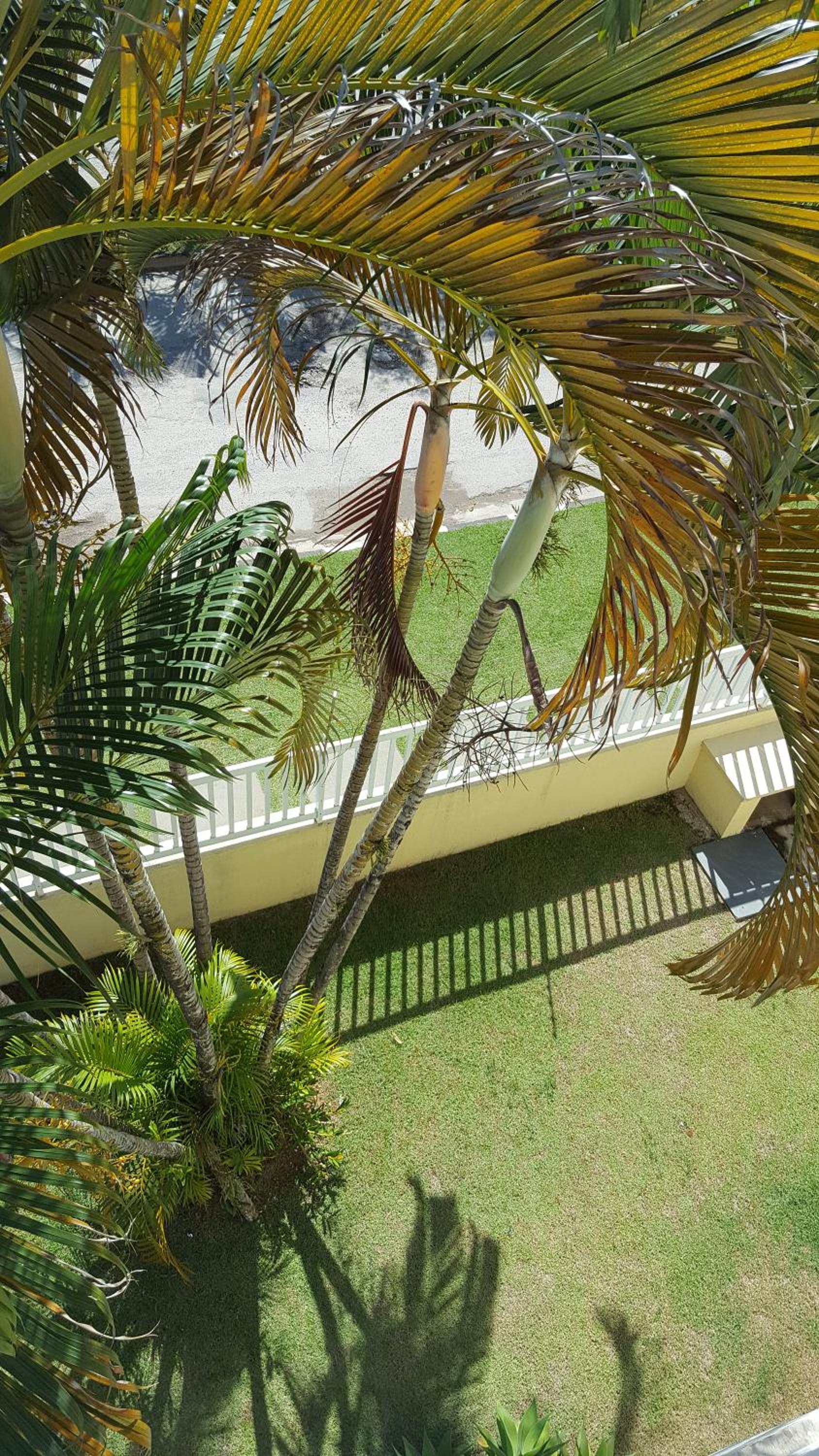 Two-Bedroom Apartment - Photo 4