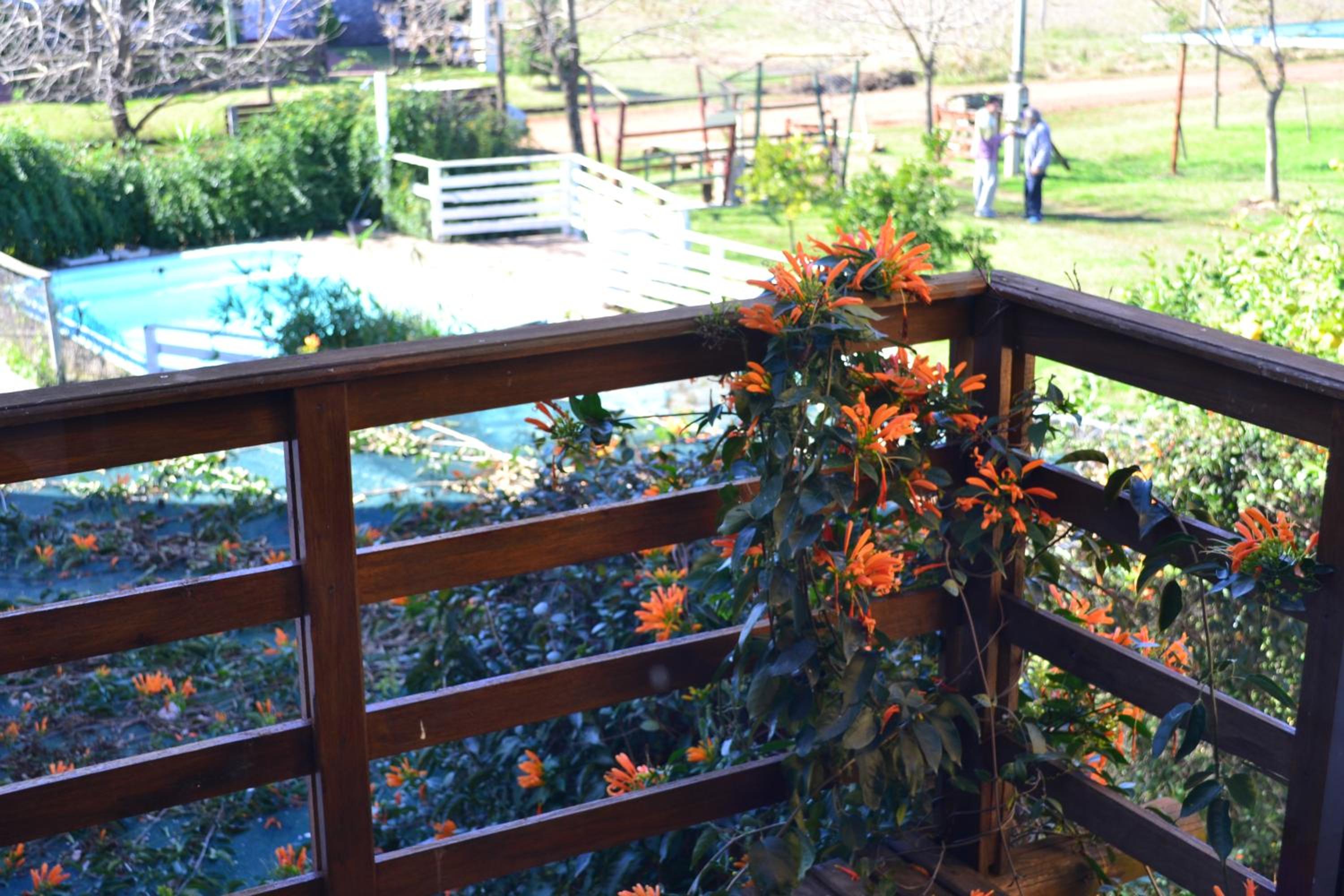 Vacation Home photo 3