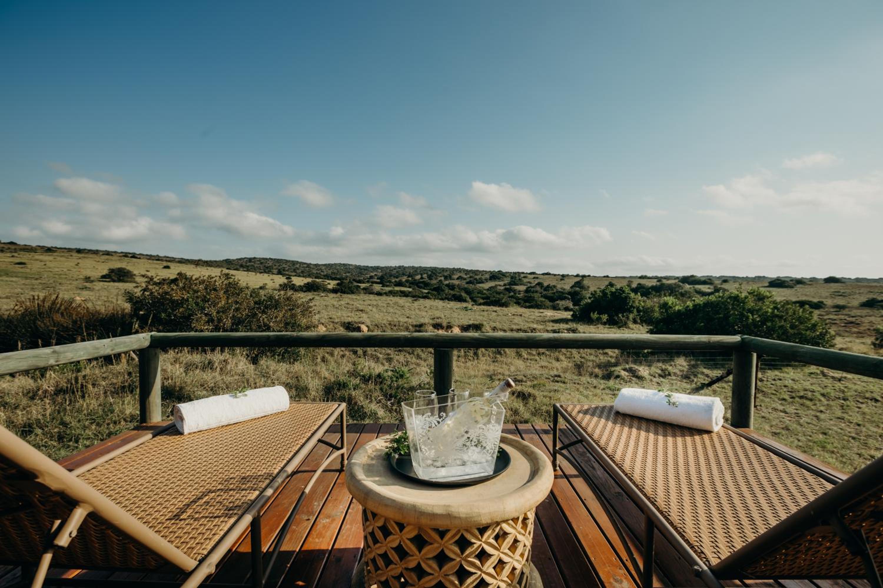 Luxury Safari Family Tent - Photo 12