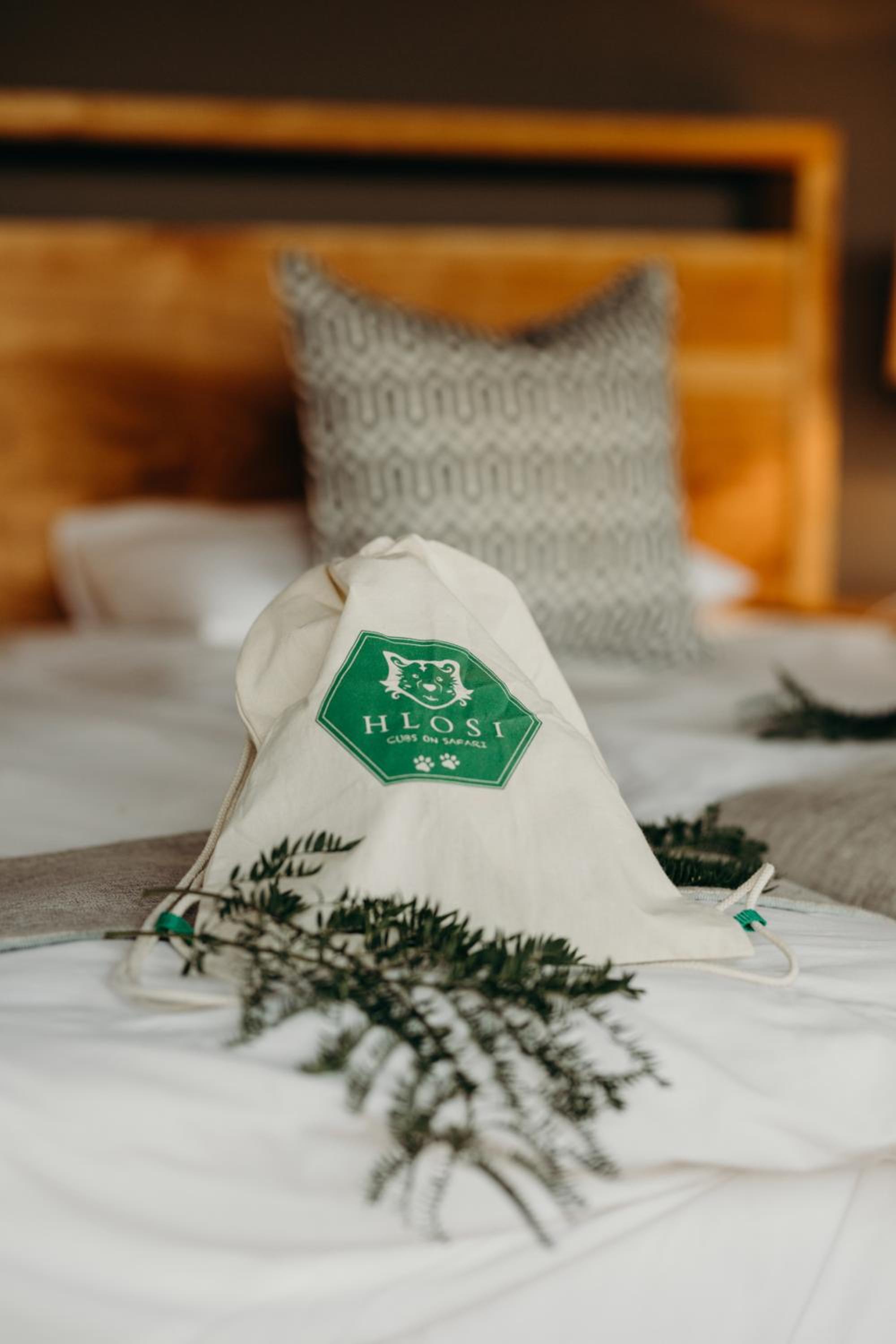 Luxury Safari Family Tent - Photo 13
