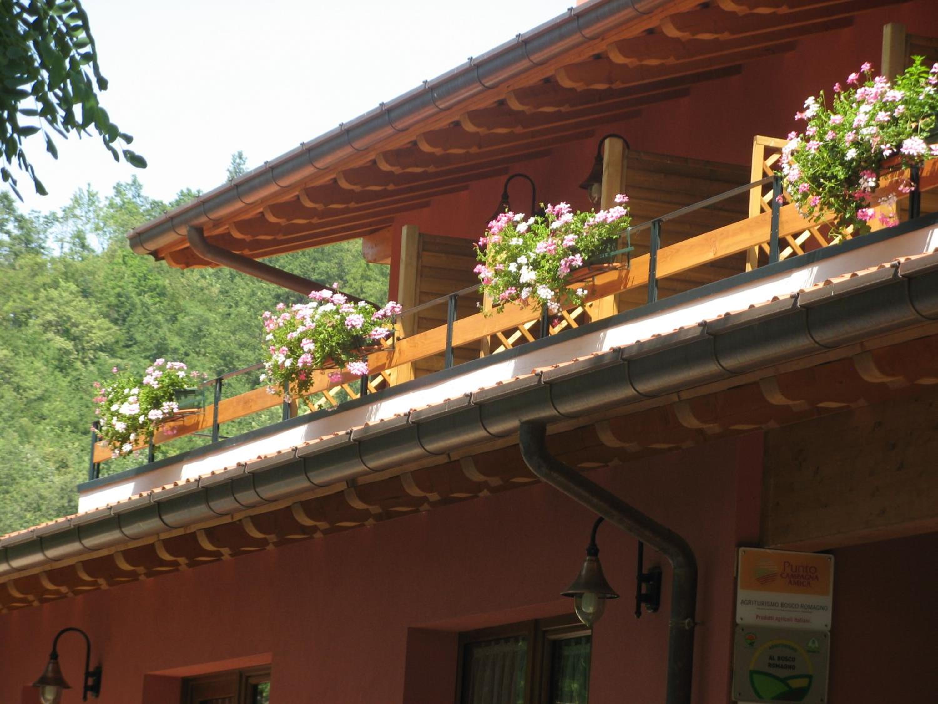 Single Room With Balcony photo 3