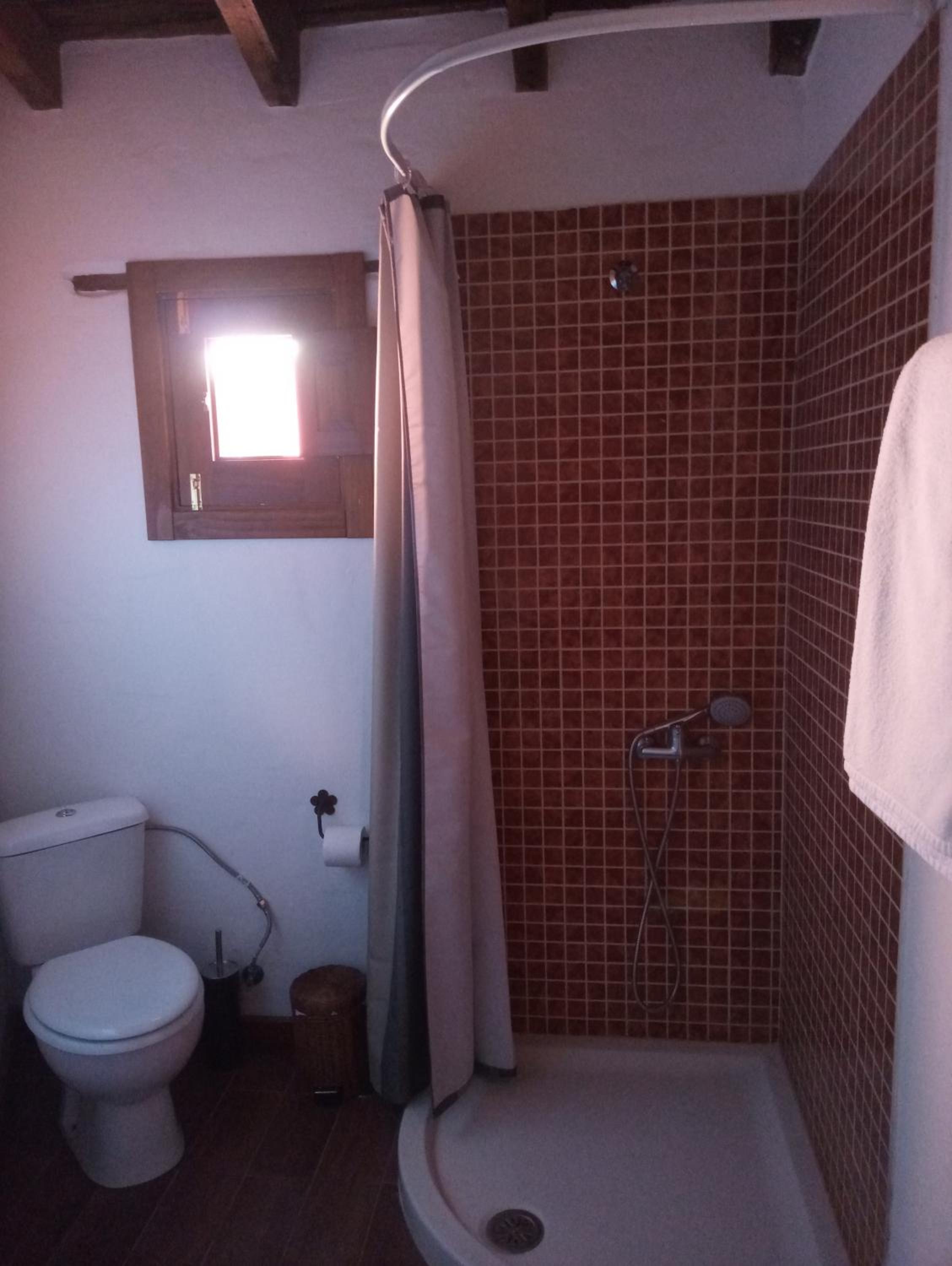 Apartment - Photo 10