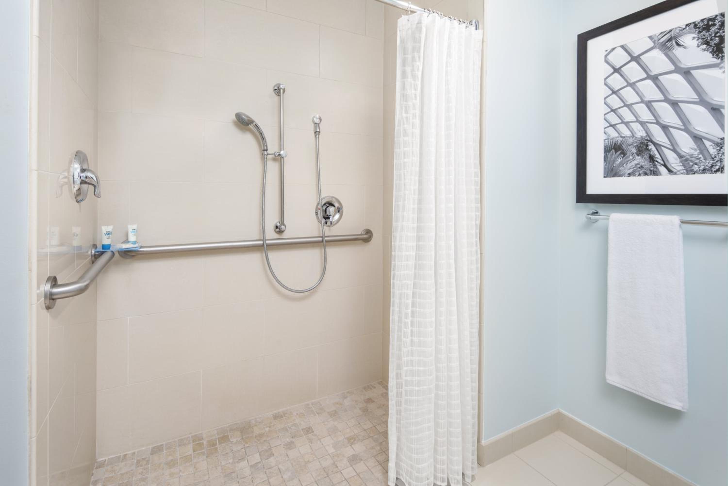 King Studio Suite with Roll-In Shower - Disability Access - Photo 3