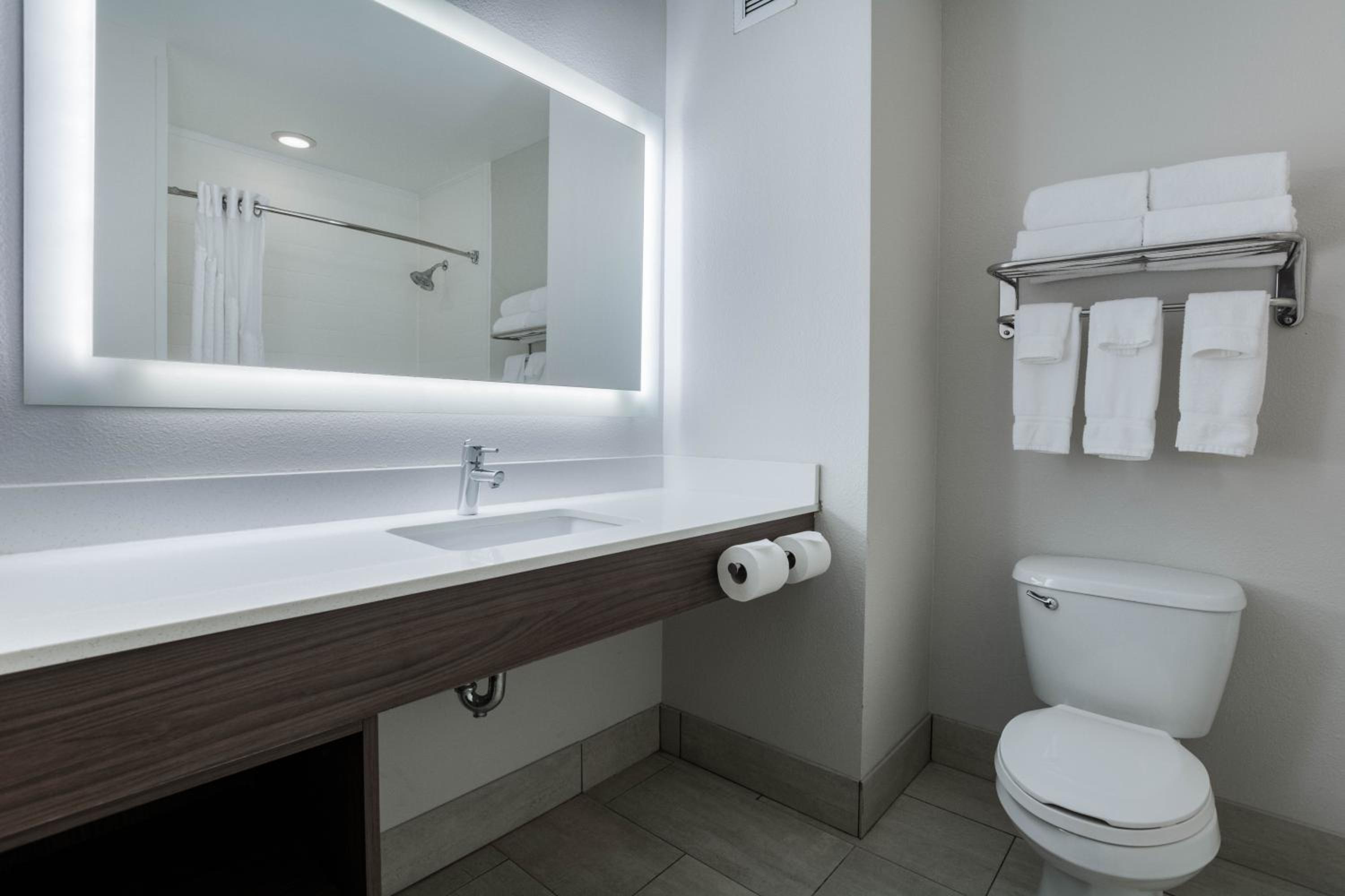 Suite - Mobility Access/Hearing Accessible - Photo 2