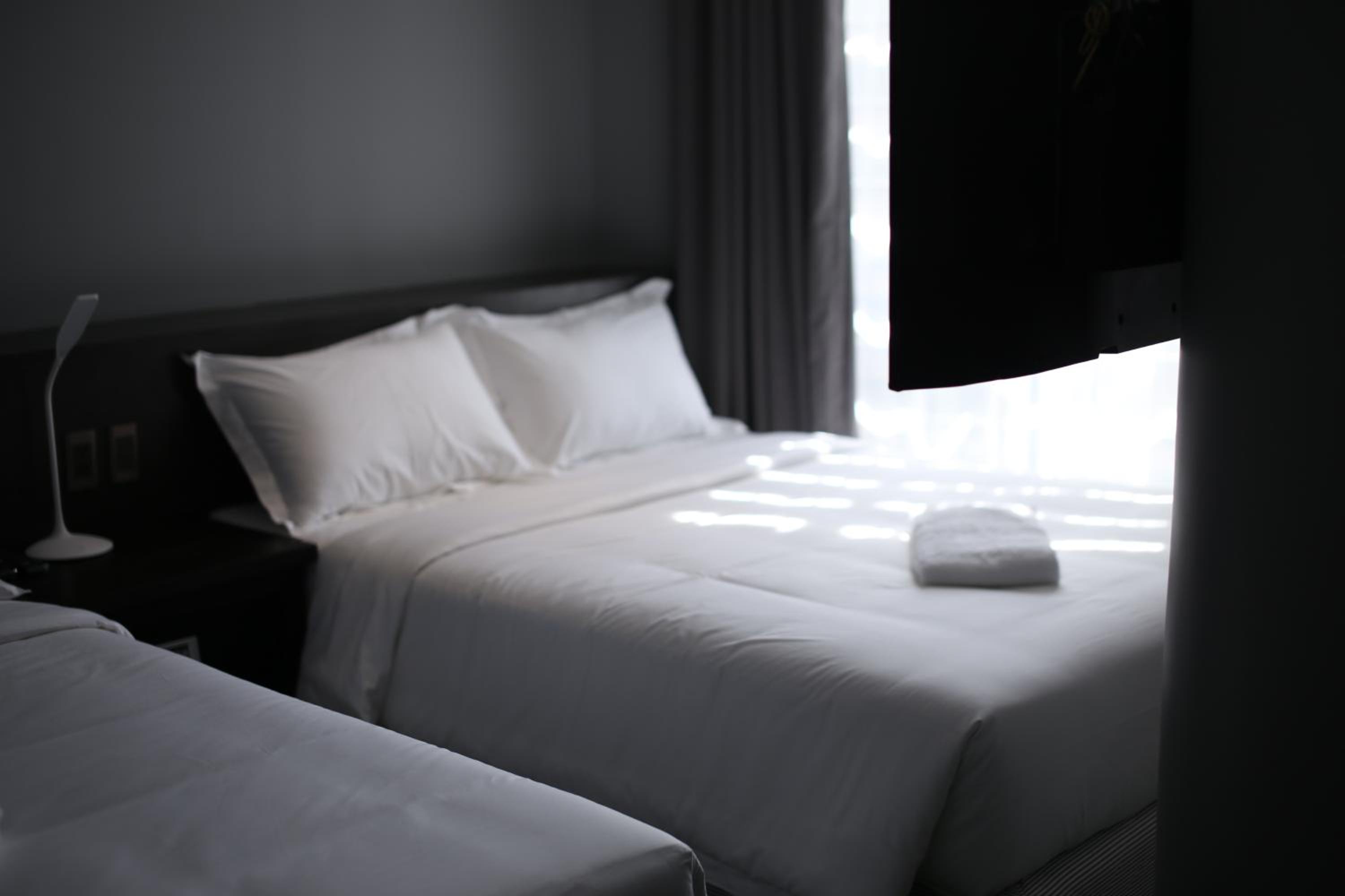 Panda Room  photo 3