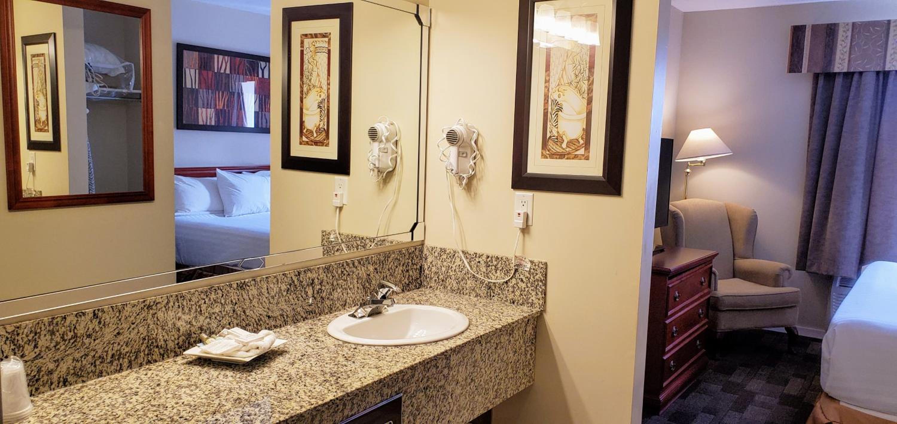 Deluxe King Suite - Photo 4