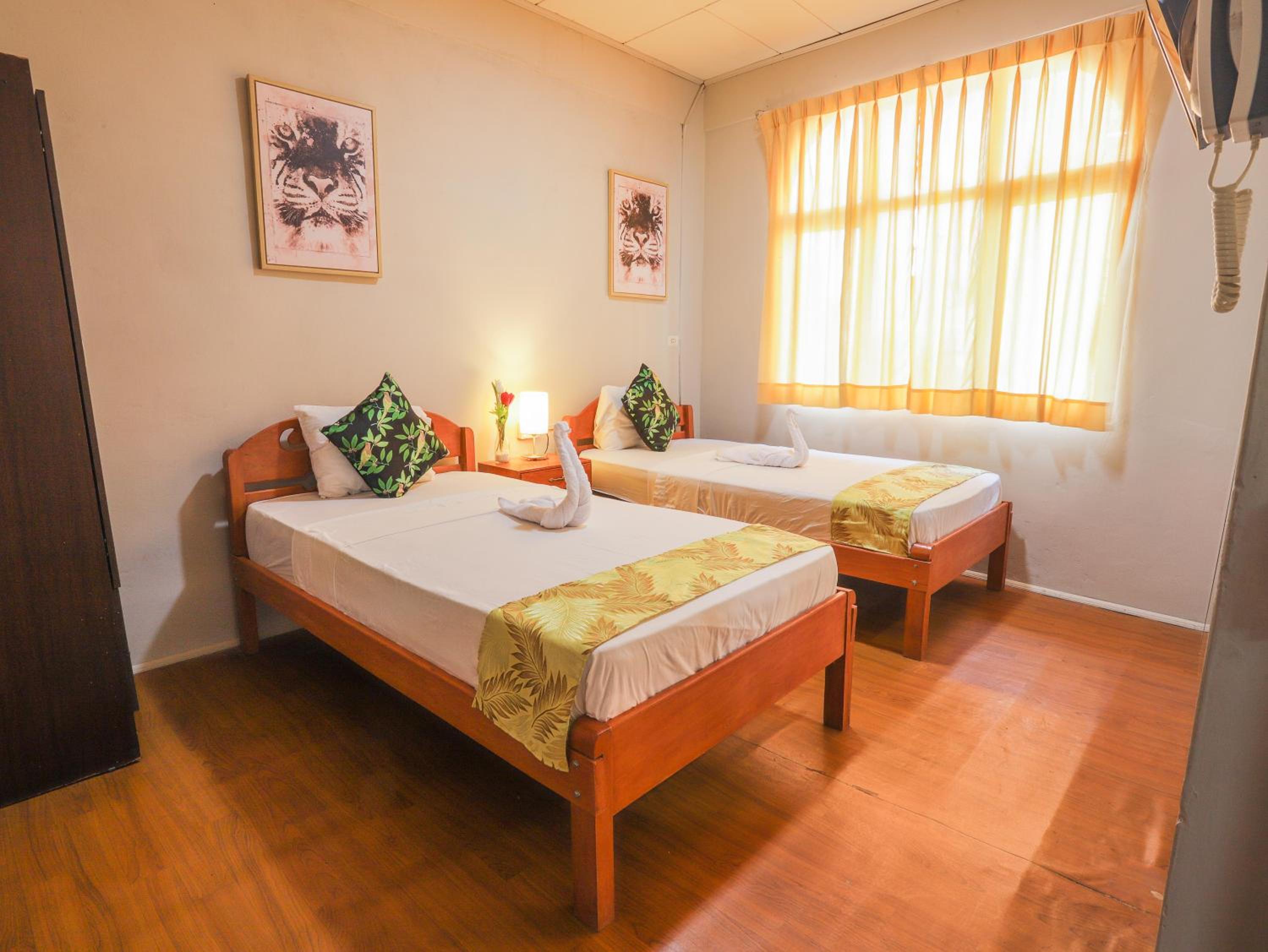 Twin Room photo 2