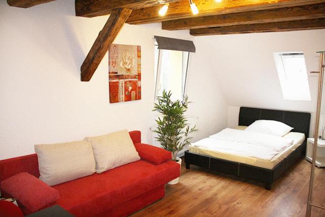 Single Apartment photo 2