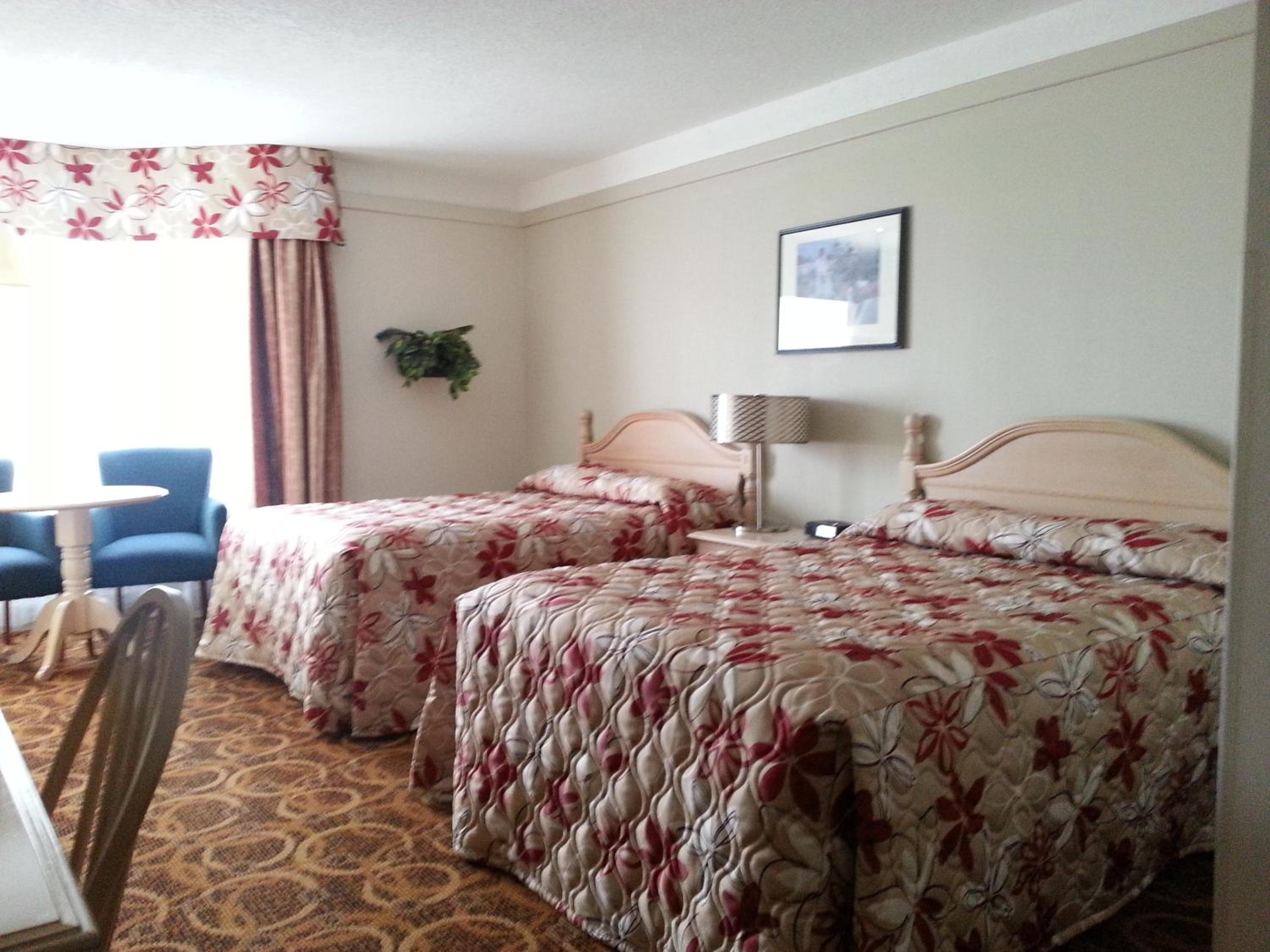 Double Room with Two Double Beds photo 3