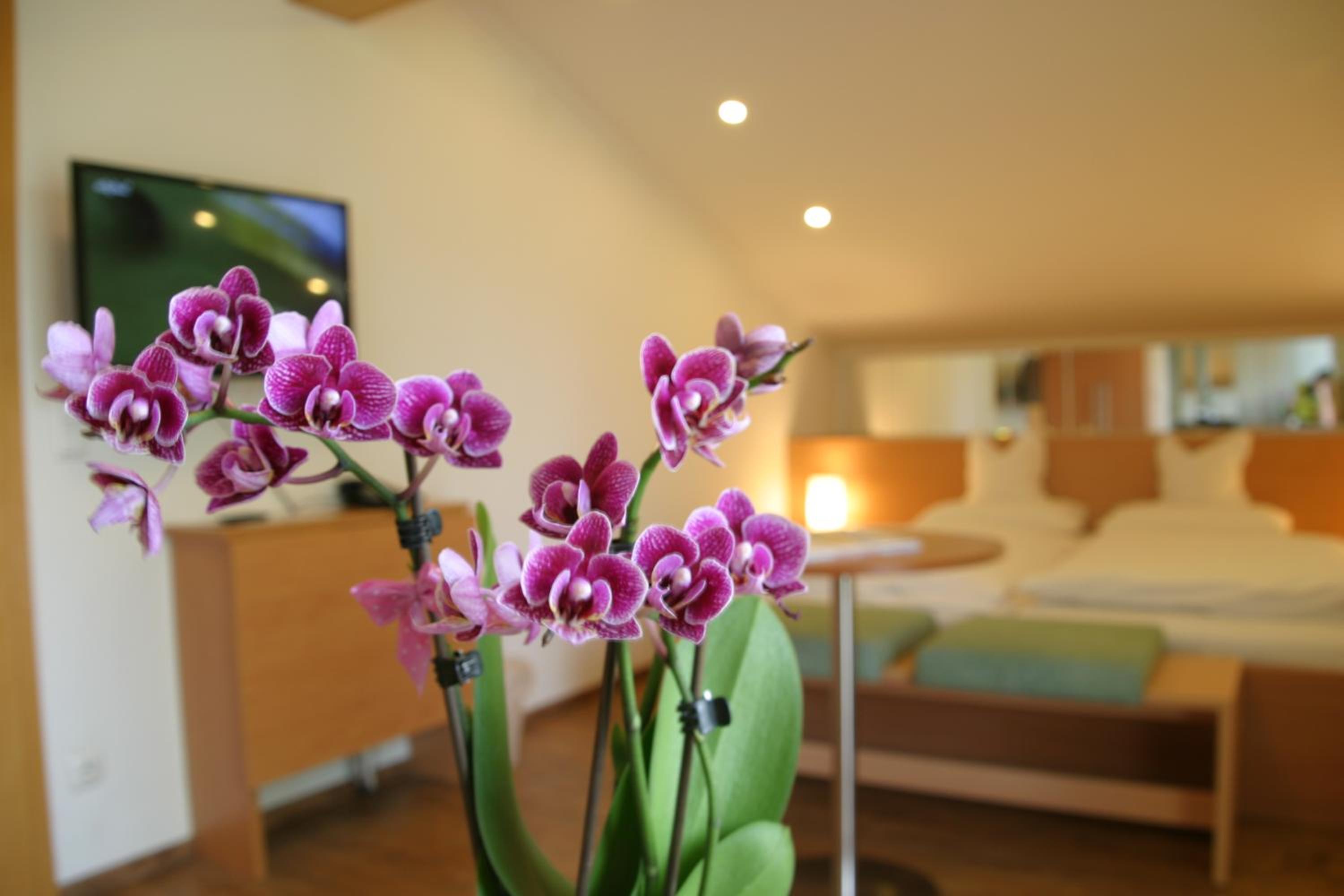 Double Room with Mountain View photo 3