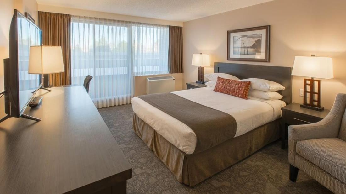 Signature with 1 King Bed