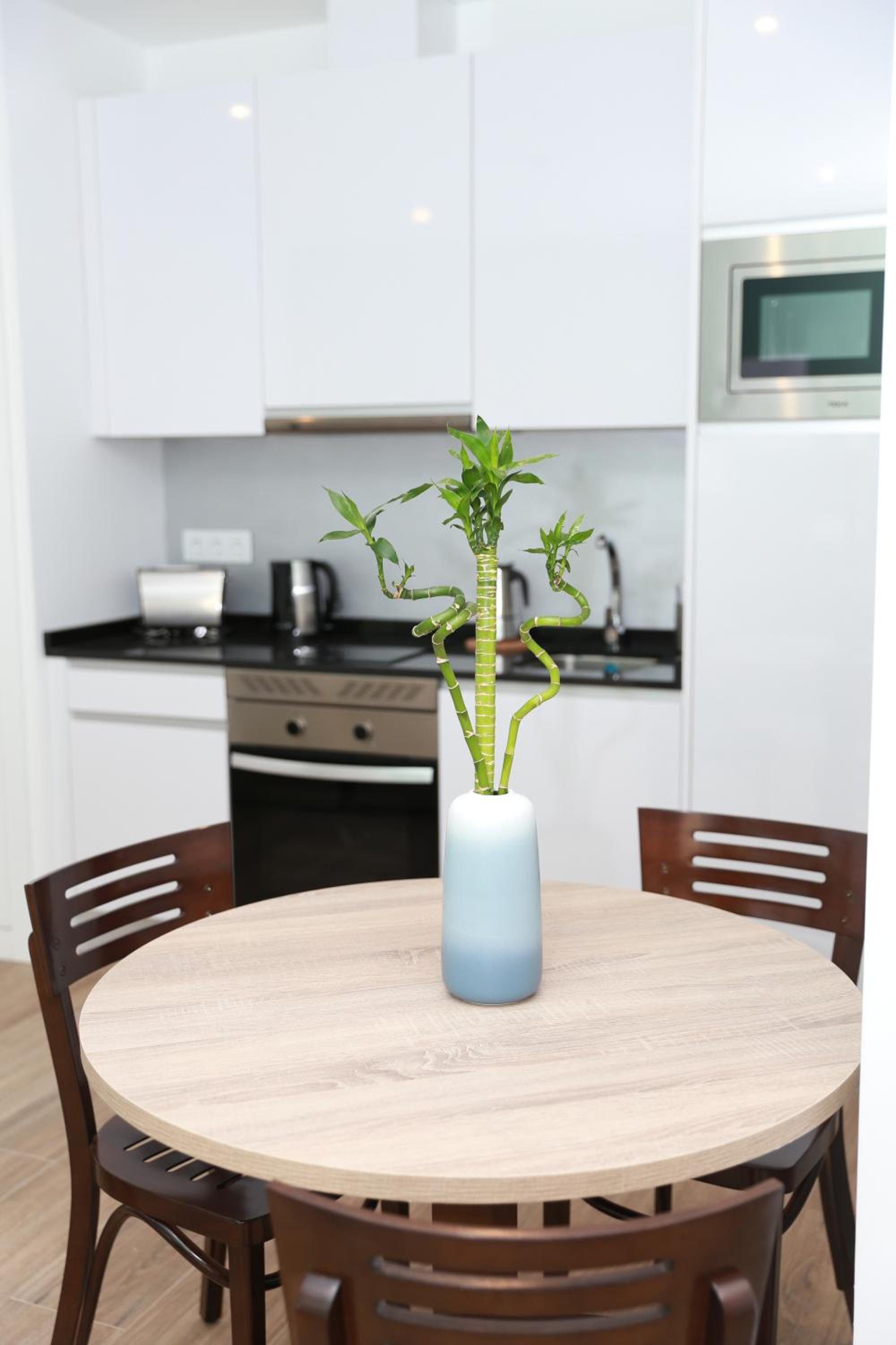 Standard Studio - Photo 3