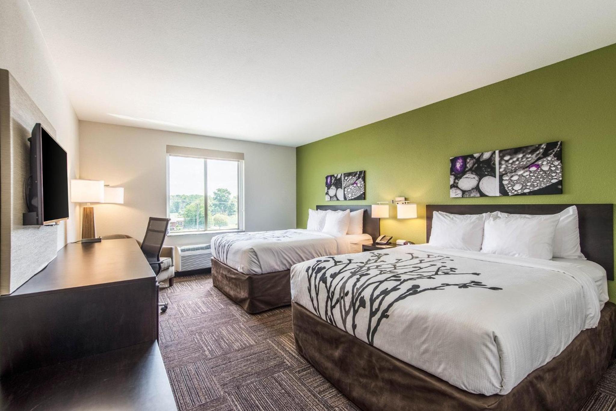 Queen Room with Two Queen Beds - Non-Smoking photo 2