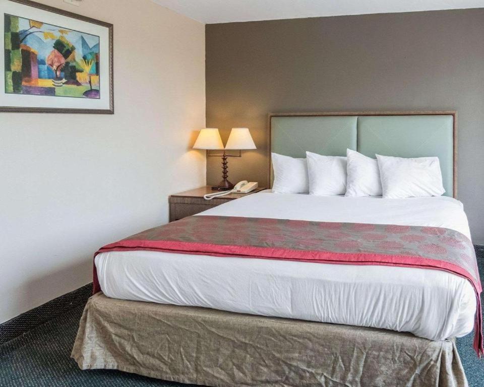 King Room - Photo 6