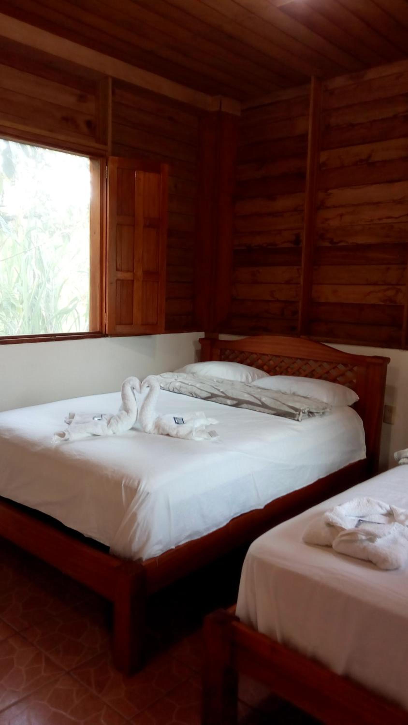 Triple Room - Photo 7