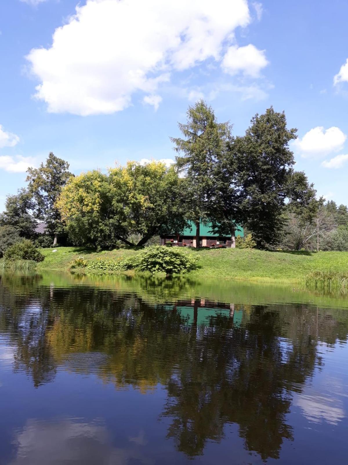 Vacation Home - Photo 7