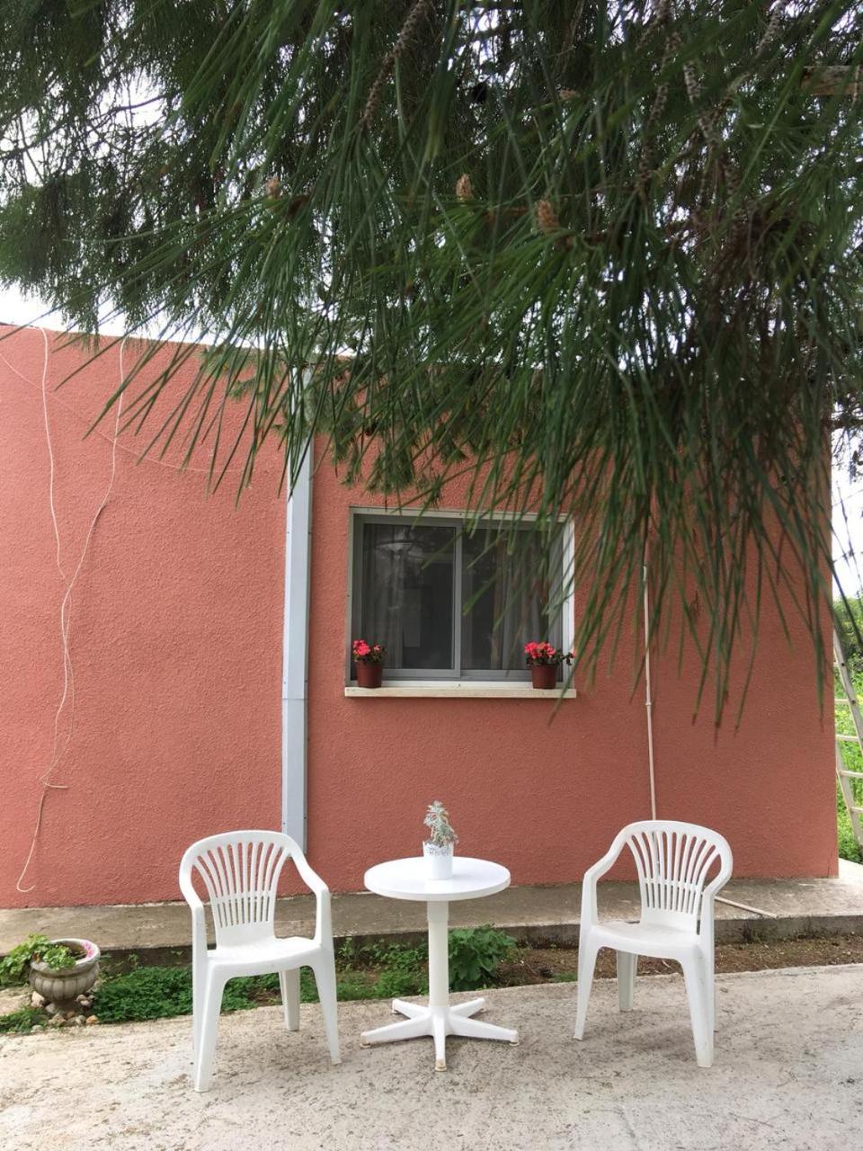 Studio Apartment - Photo 6