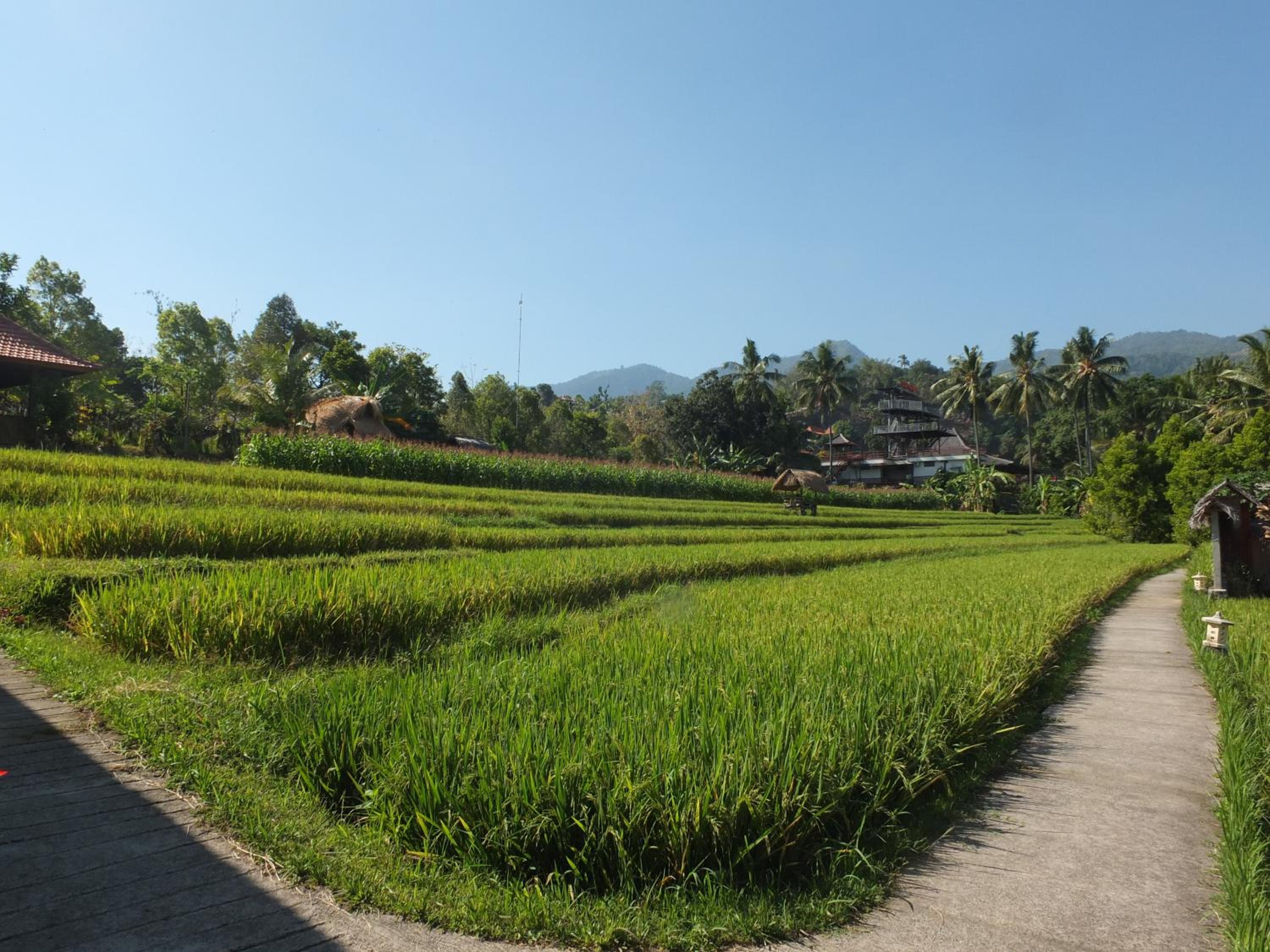 Double Room with Mountain View - Photo 4