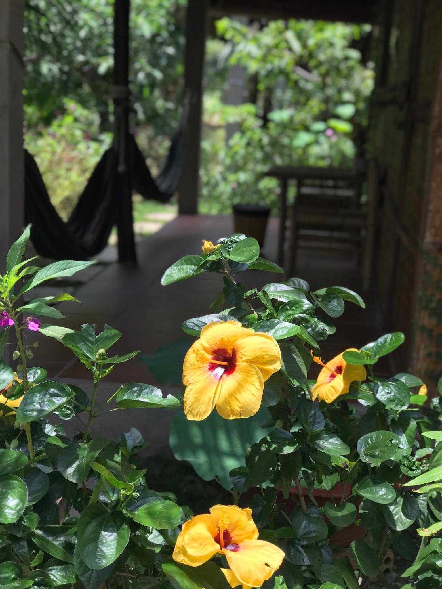 Bungalow with Garden View - Photo 10