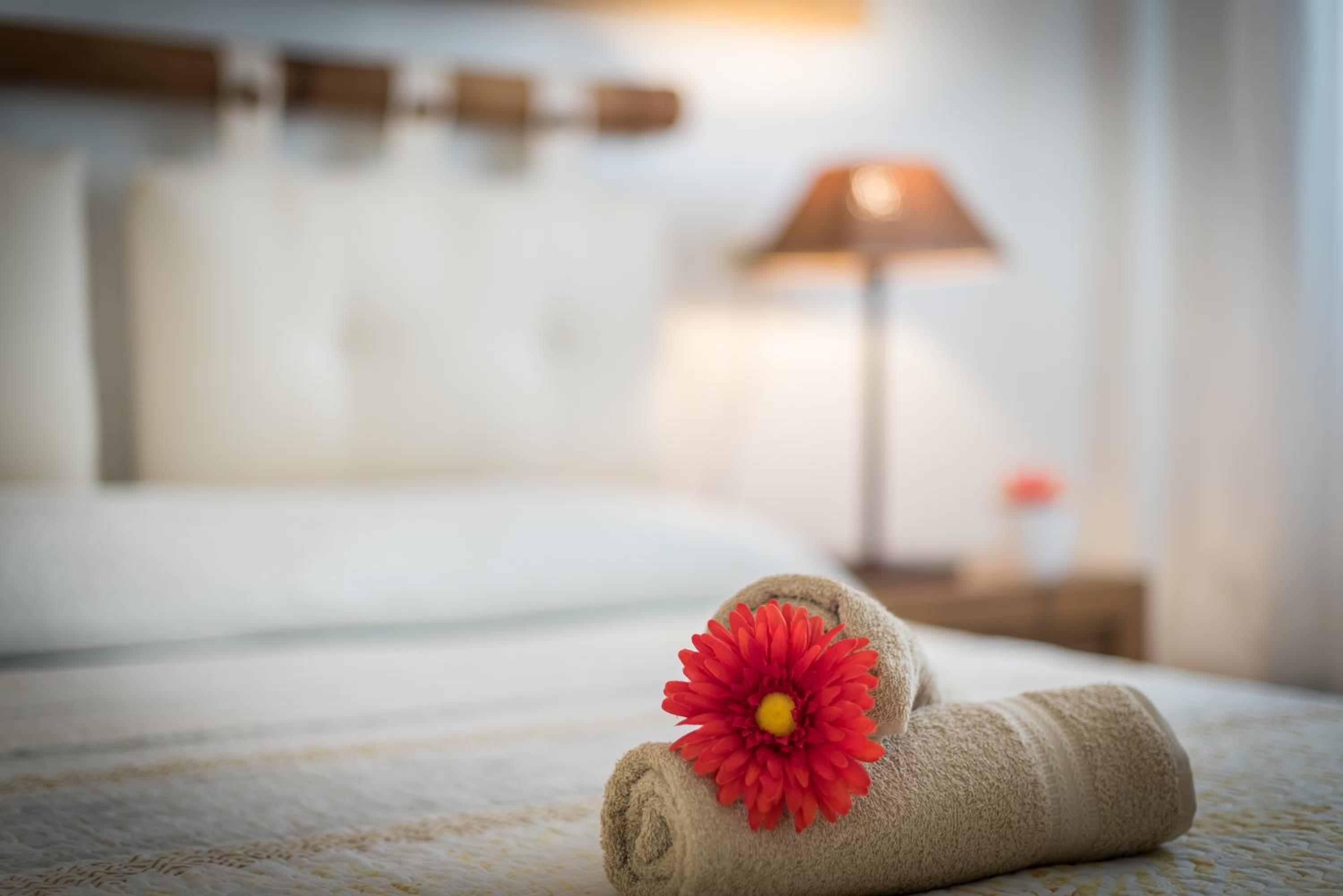 Apartamento - Planta Baja