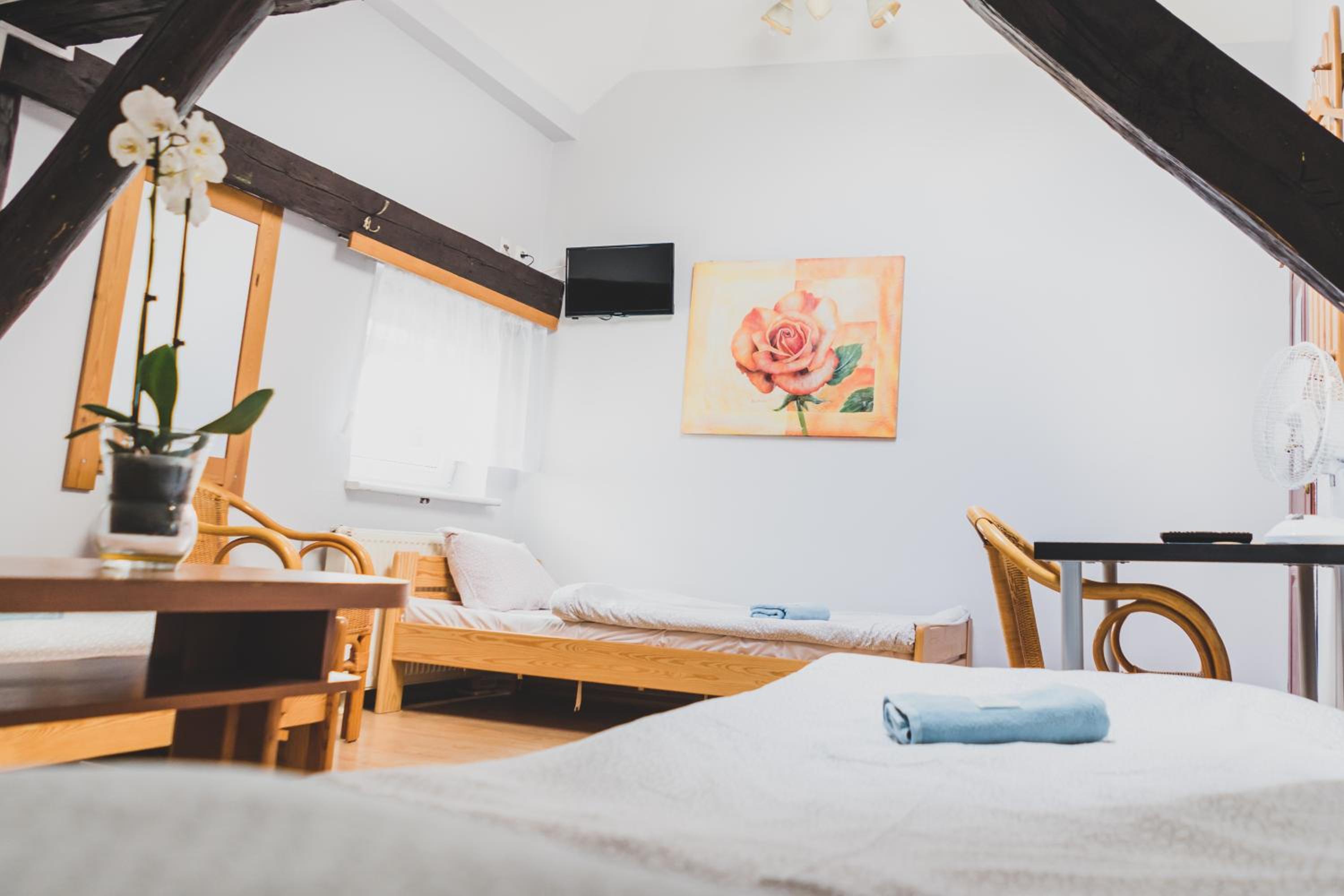 Triple Room with Shared Bathroom photo 3