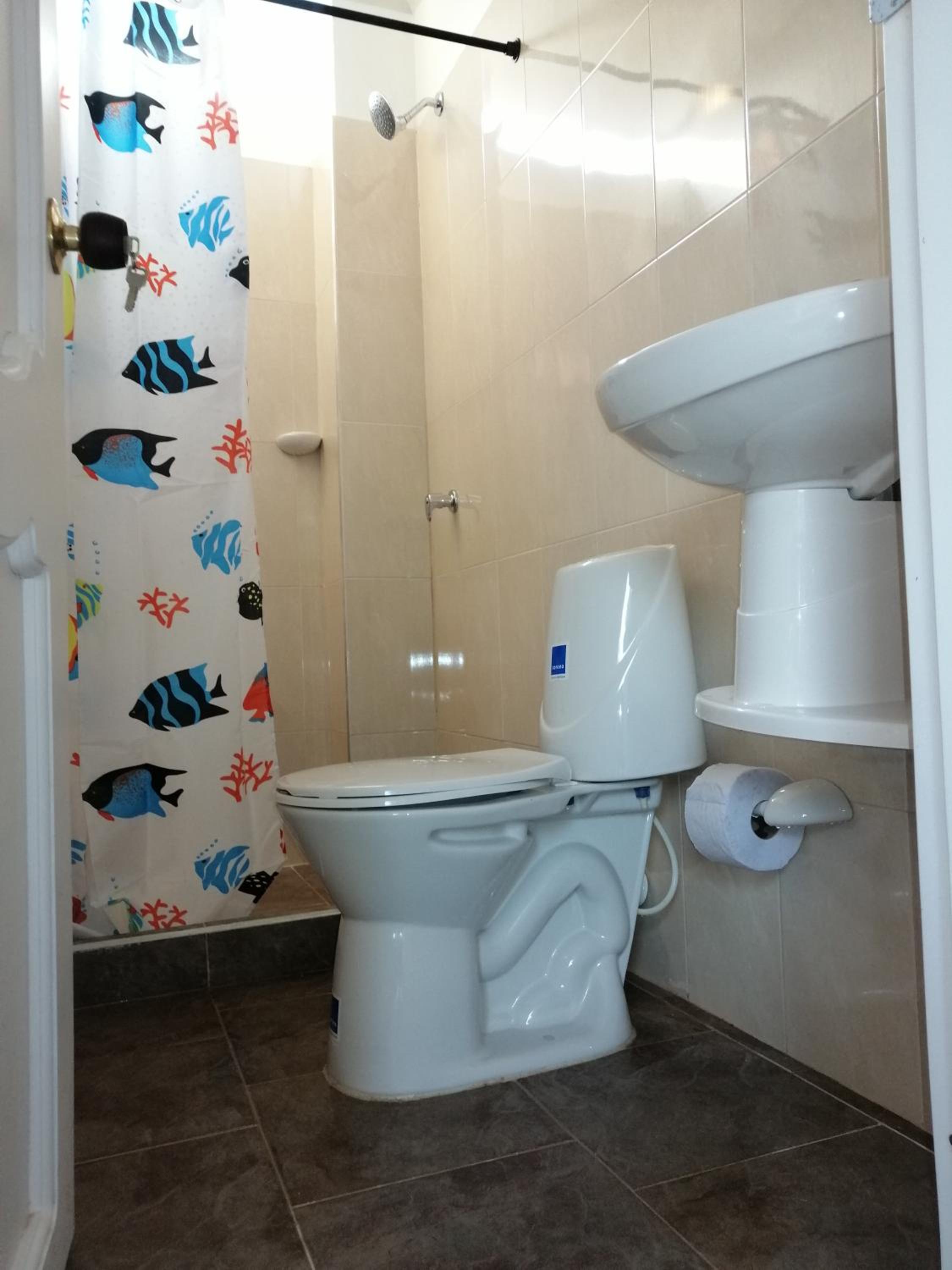 Single Room photo 2