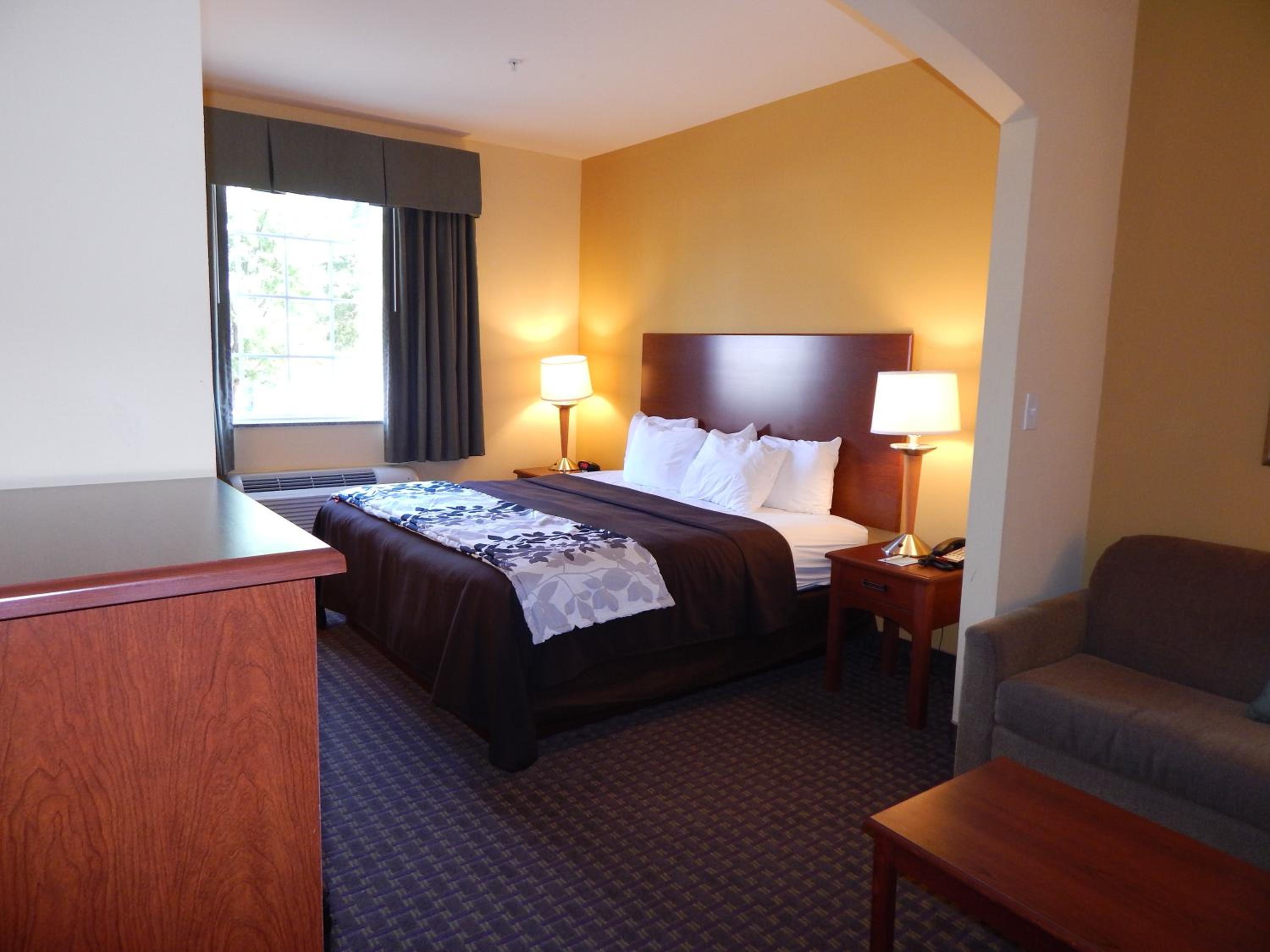 King Room - Non-Smoking - Photo 3