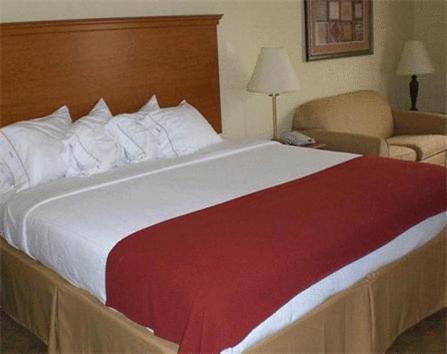 King Suite - Photo 3