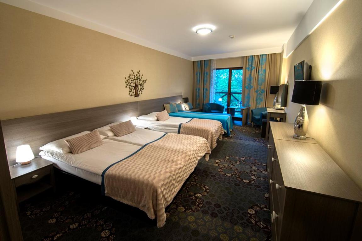 Quadruple Room - Photo 4