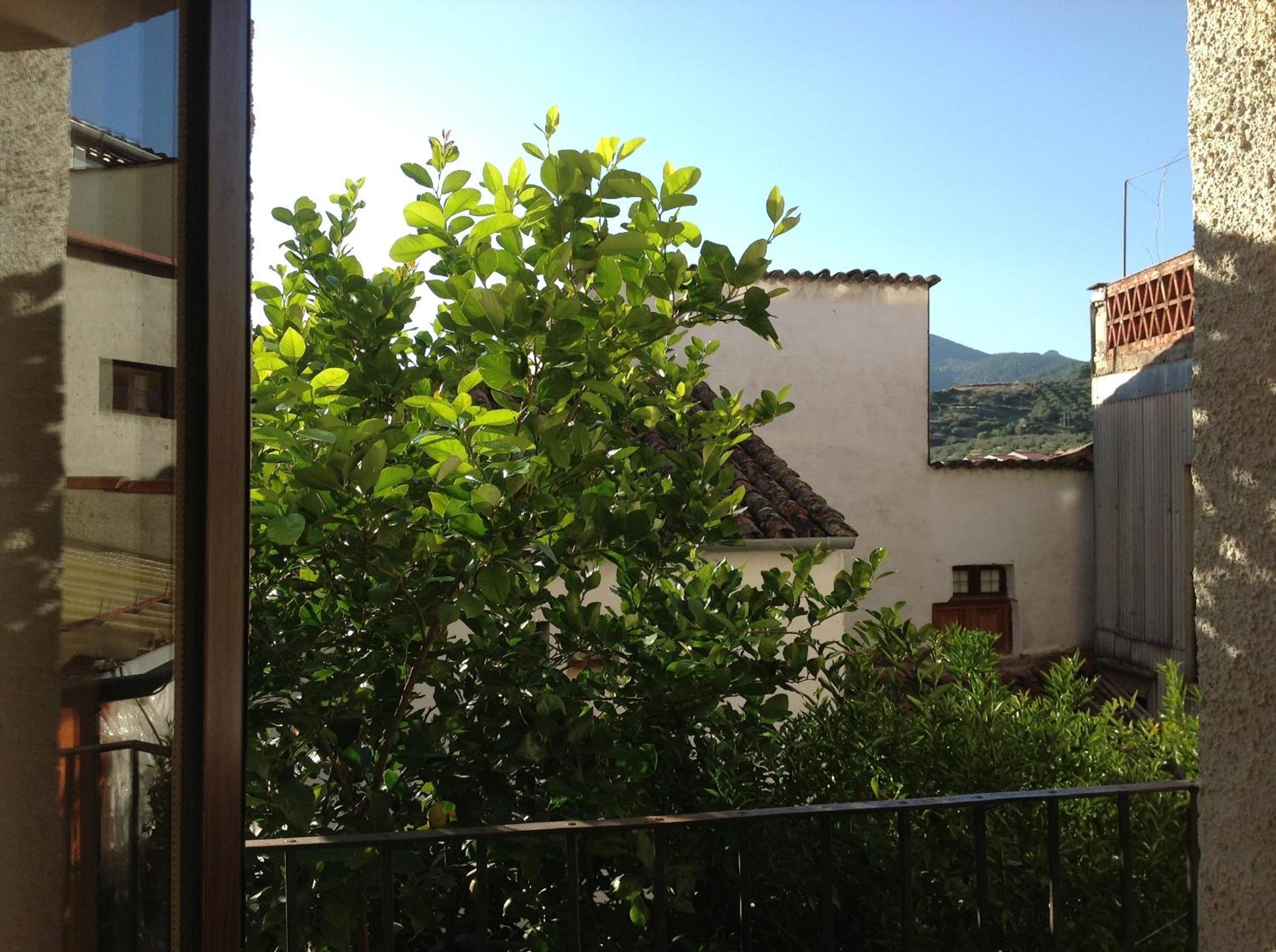 Triple Room - Photo 7