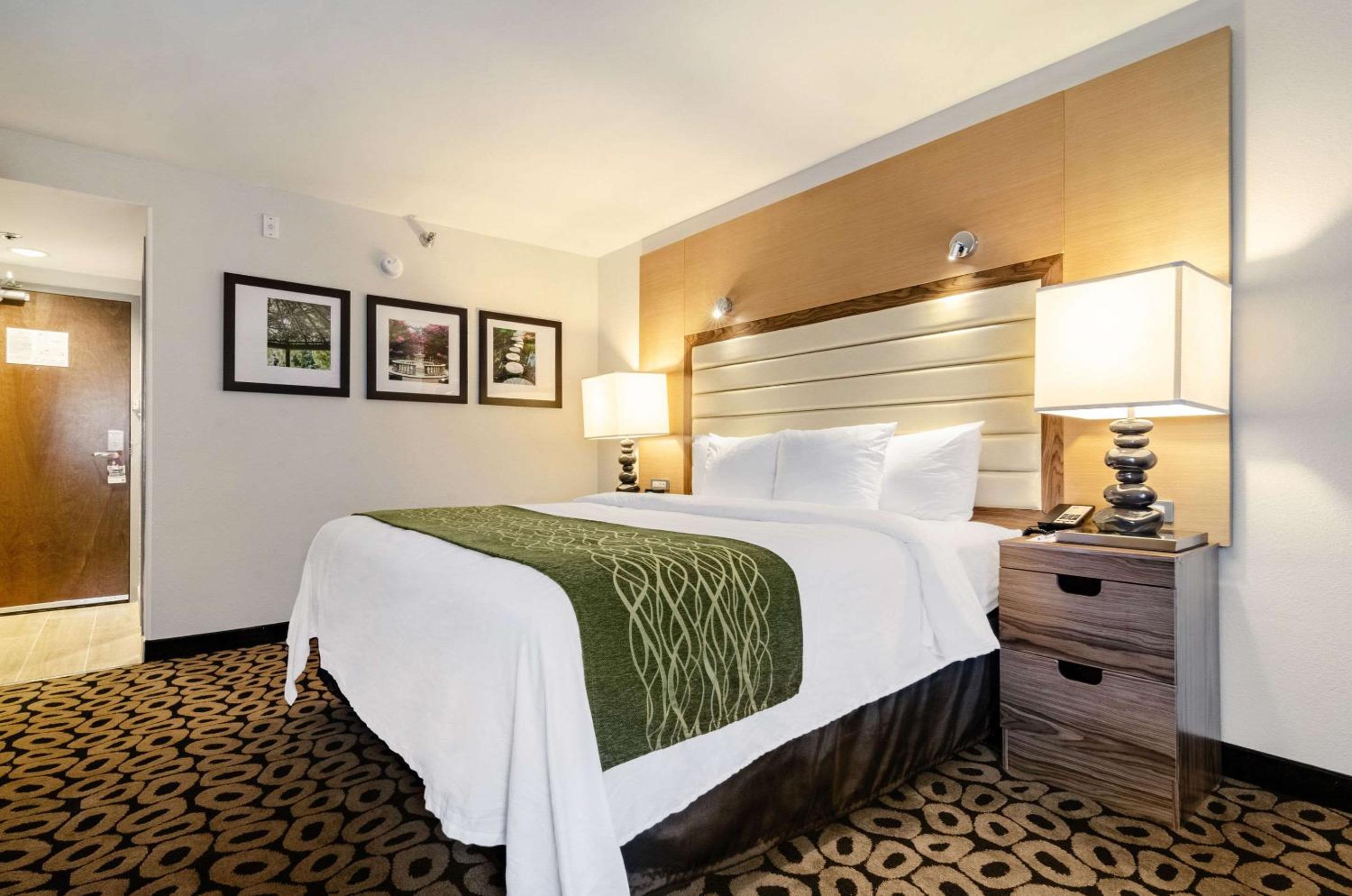 Queen Room - Accessible/Non-Smoking - Photo 4