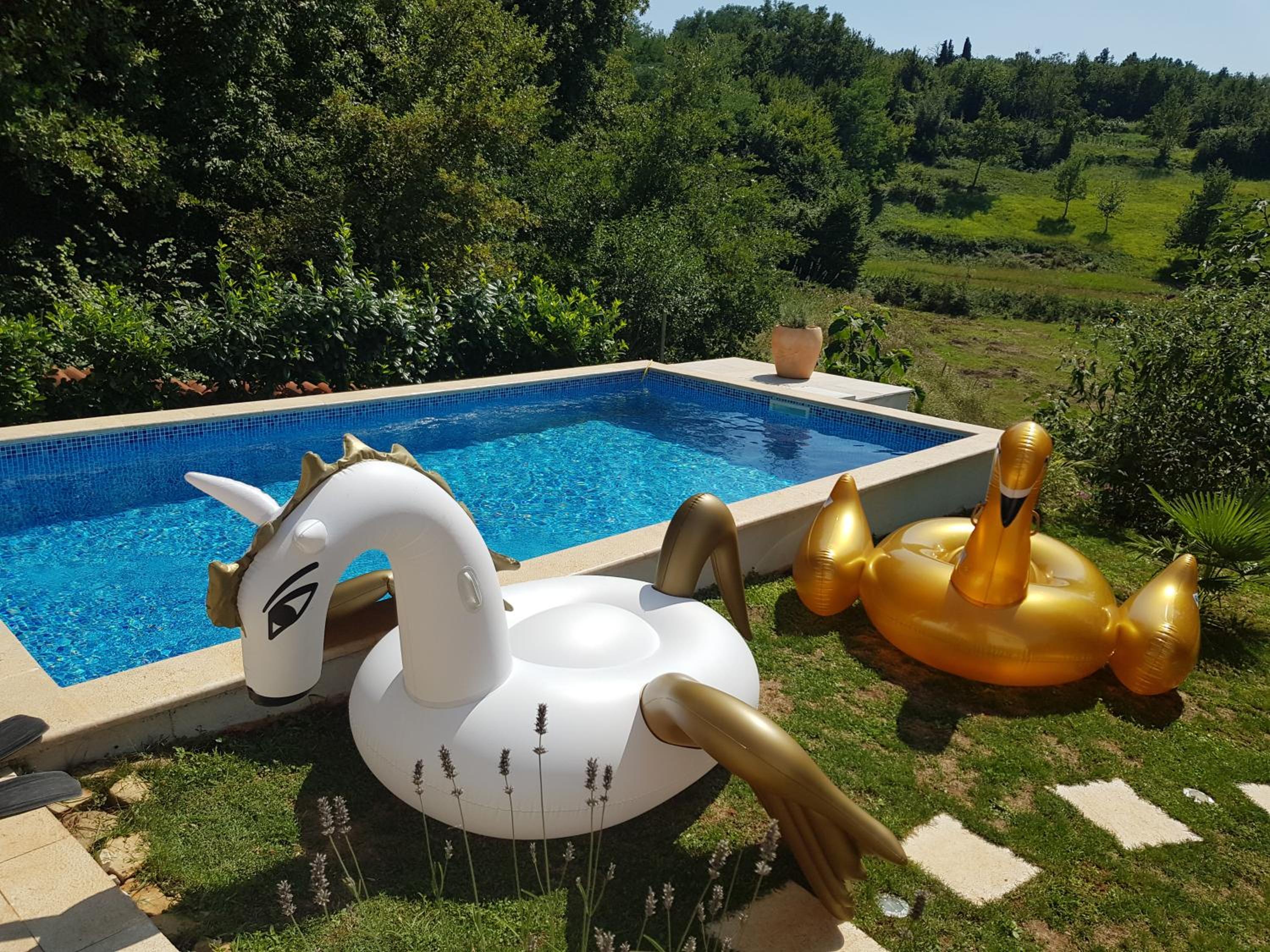 Villa with Private Pool photo 2