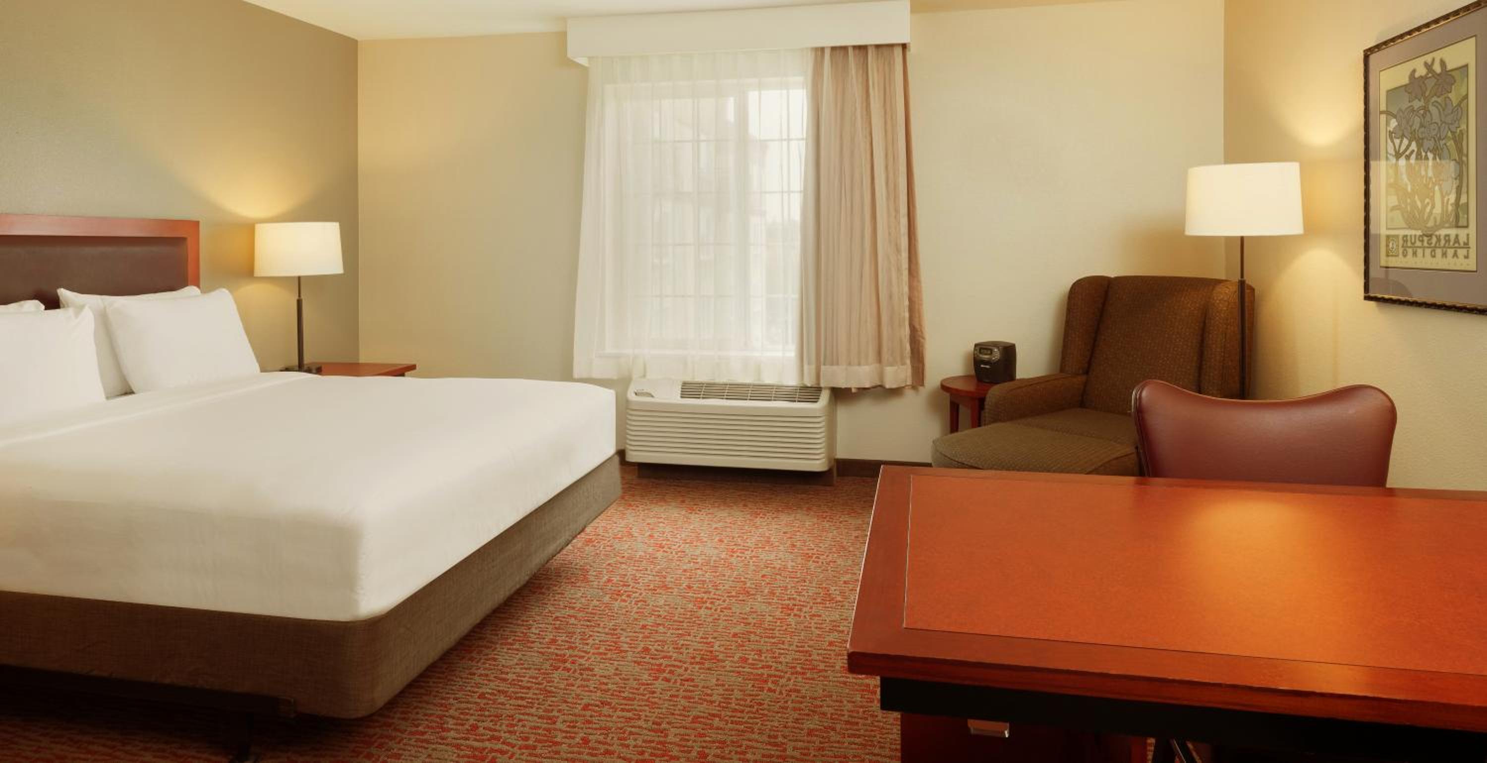 Studio Suite - Disability Access - Photo 4