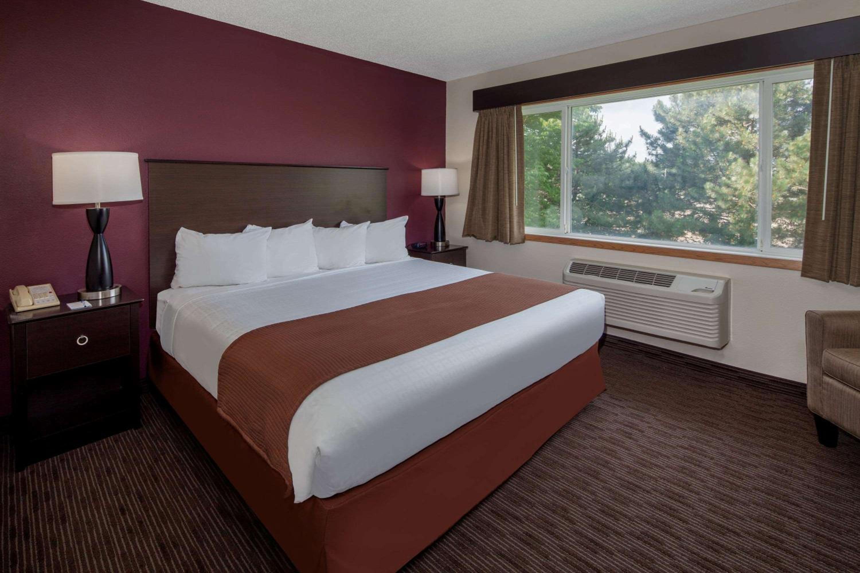 Deluxe King Suite - Non-Smoking - Photo 1