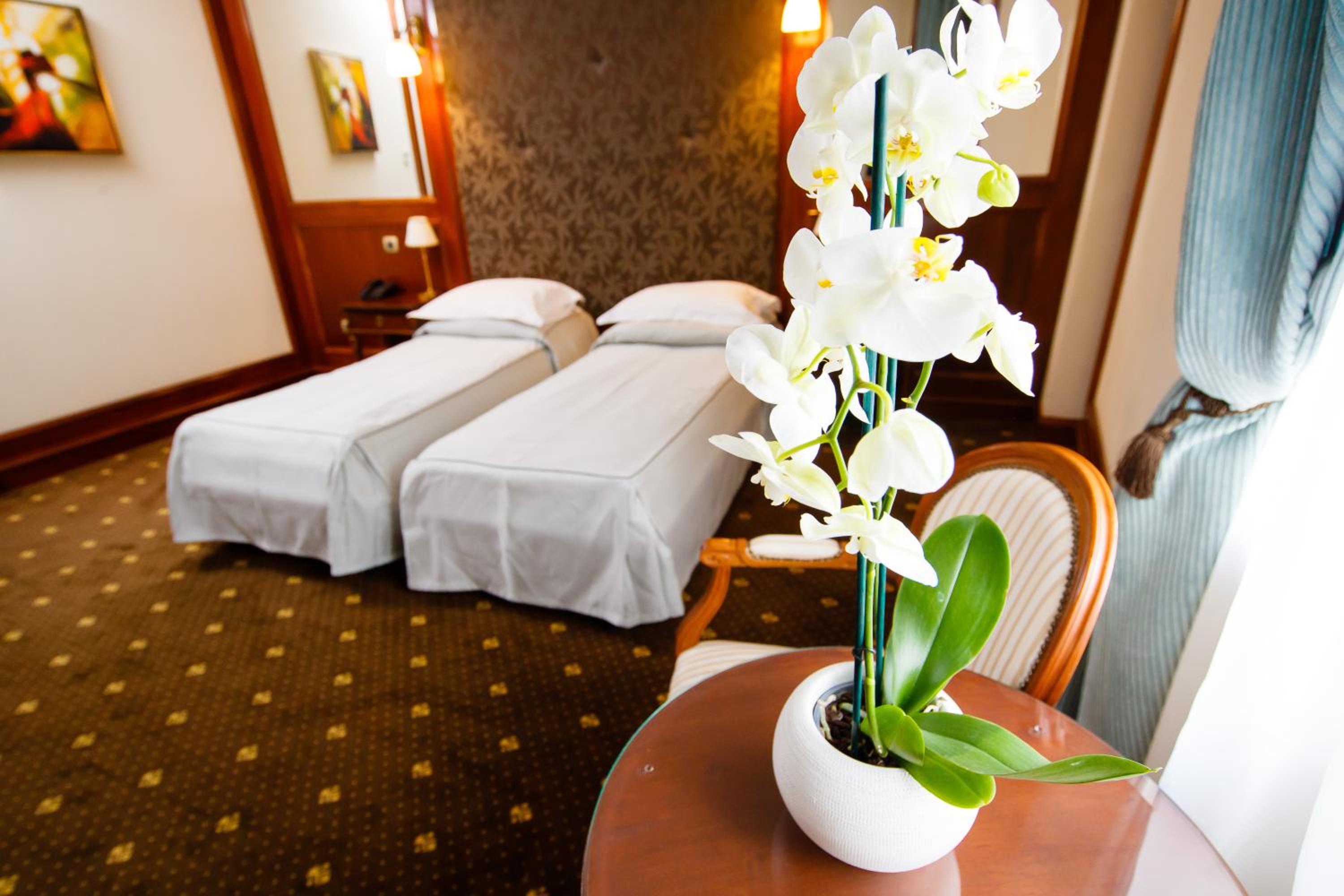 Twin Room photo 2