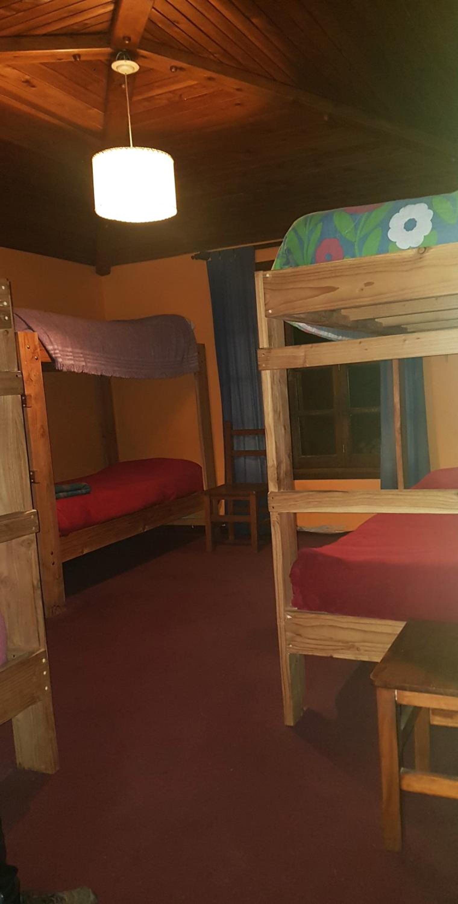 Bed in 6-Bed Female Dormitory Room photo 1
