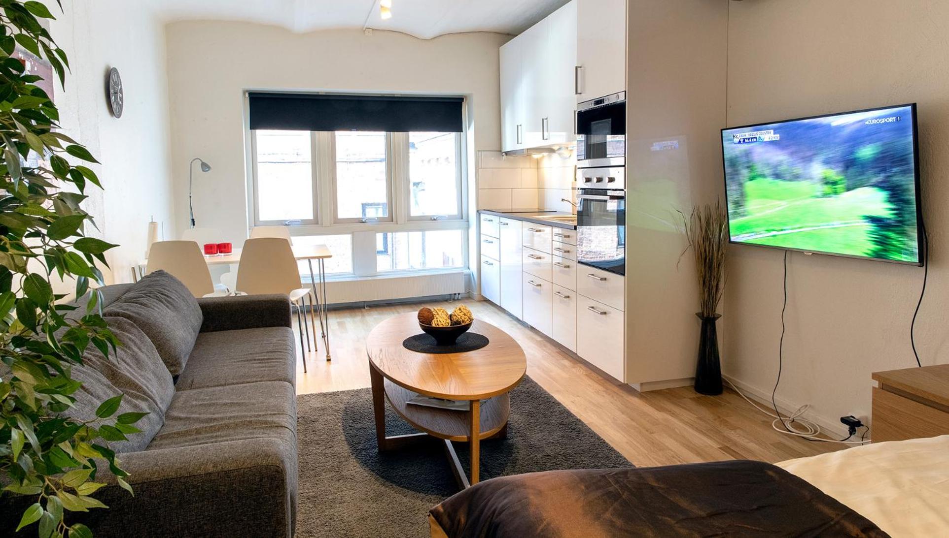 Studio Apartment photo 2